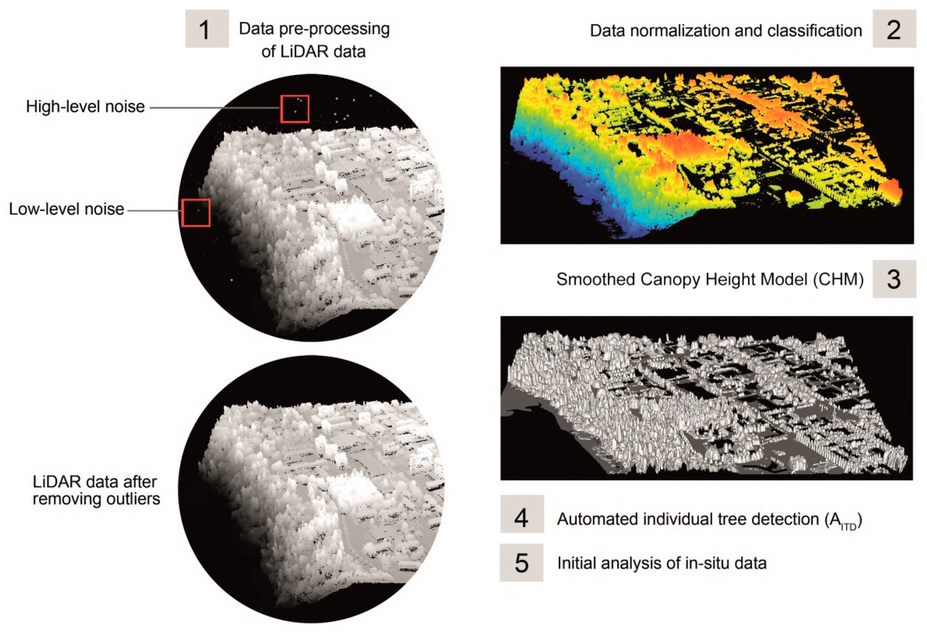 Forests 12 00062 g003 Forests 12 00062 g003