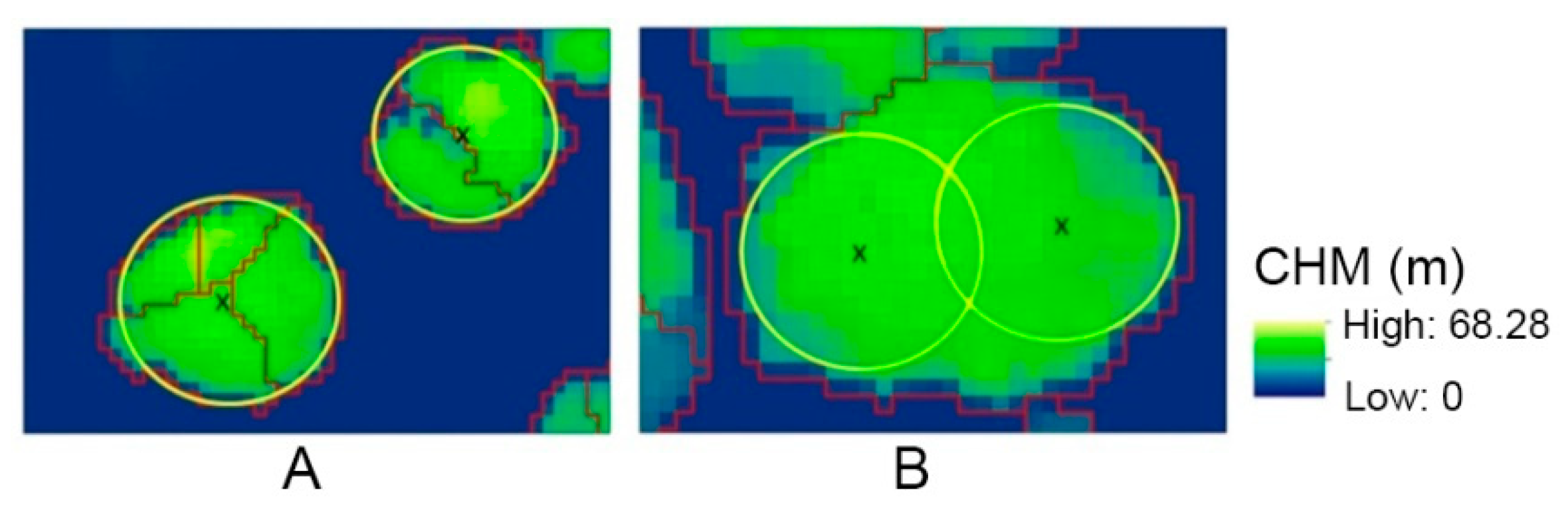 Forests 12 00062 g005 Forests 12 00062 g005