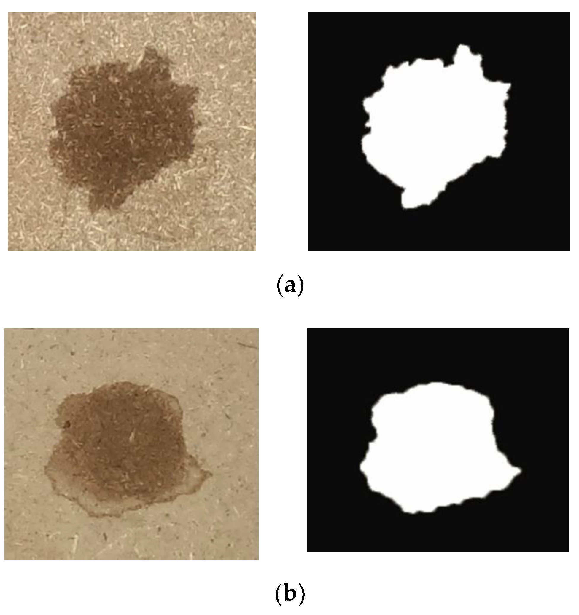 Forests 12 00063 g001 Forests 12 00063 g001