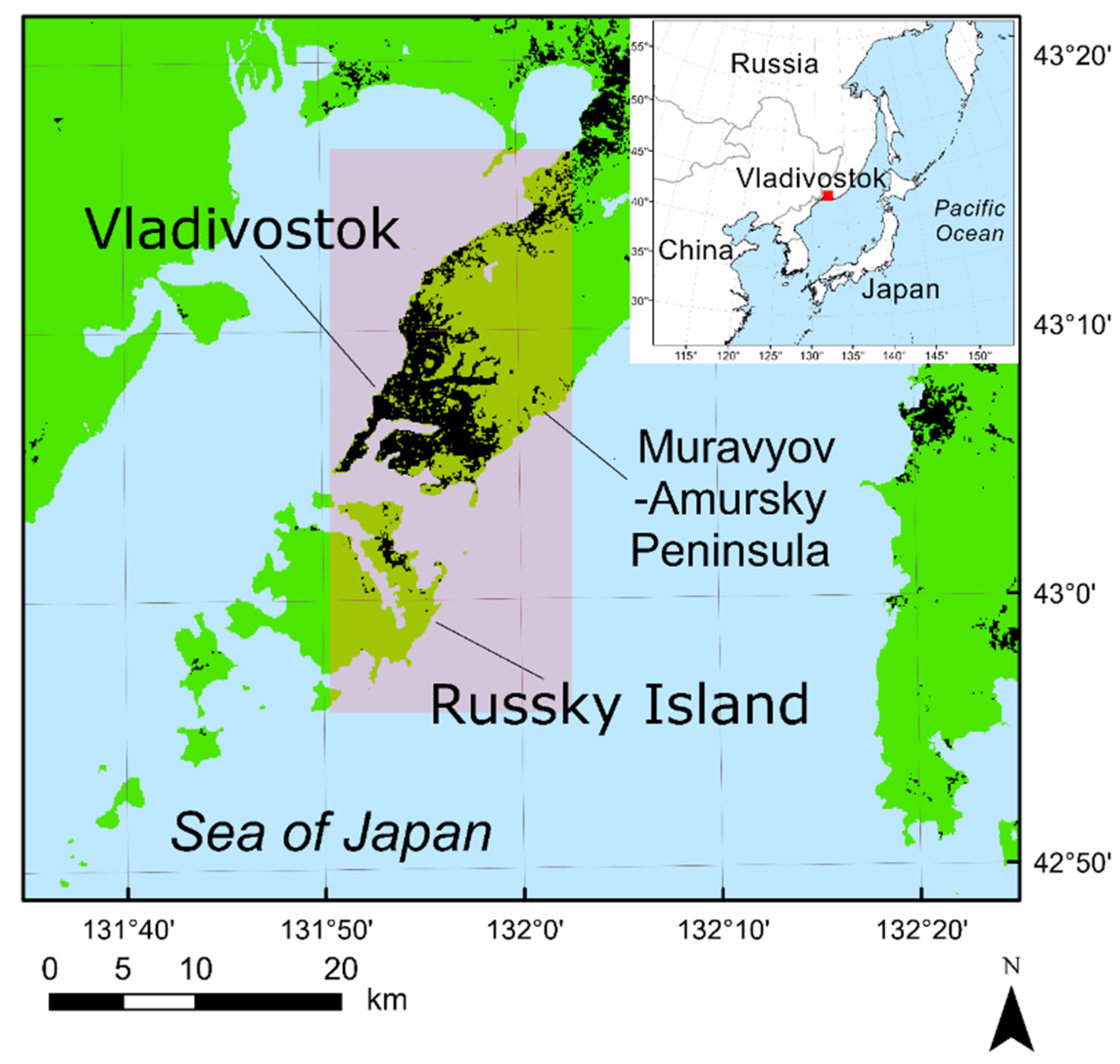 Forests 12 00066 g001