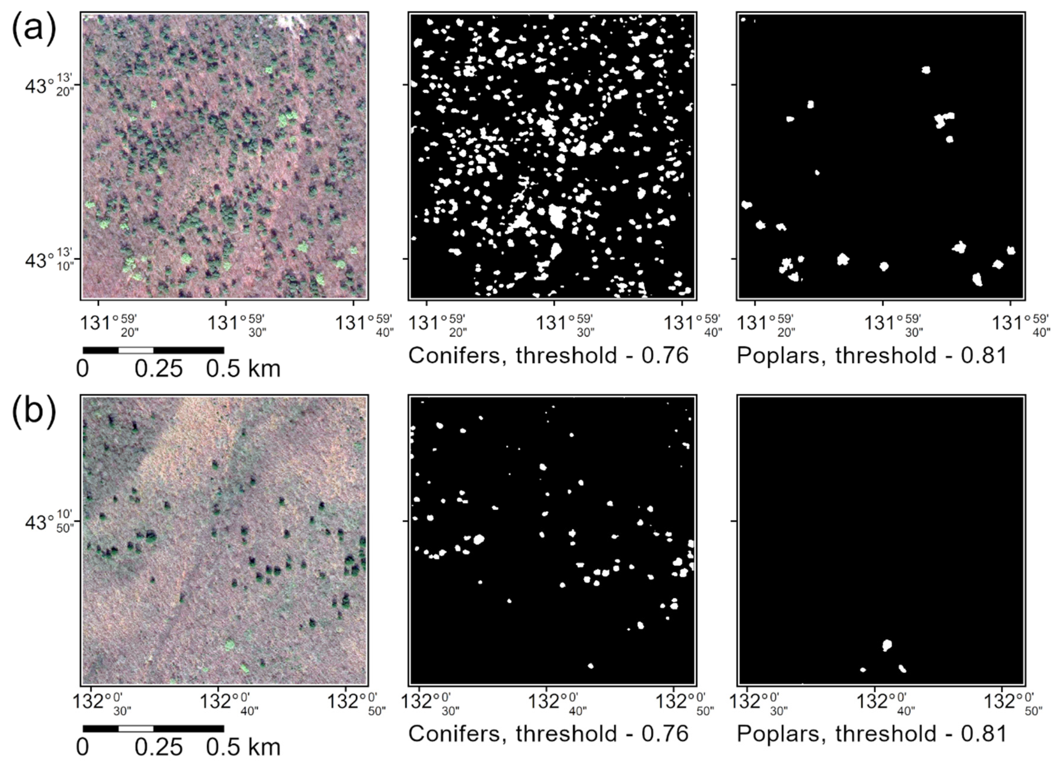 Forests 12 00066 g005