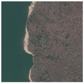 Forests 12 00066 i002