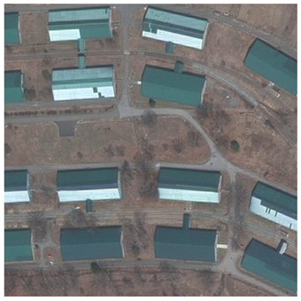 Forests 12 00066 i003