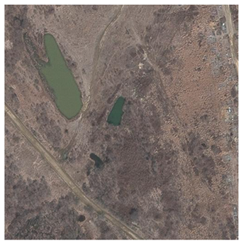 Forests 12 00066 i005