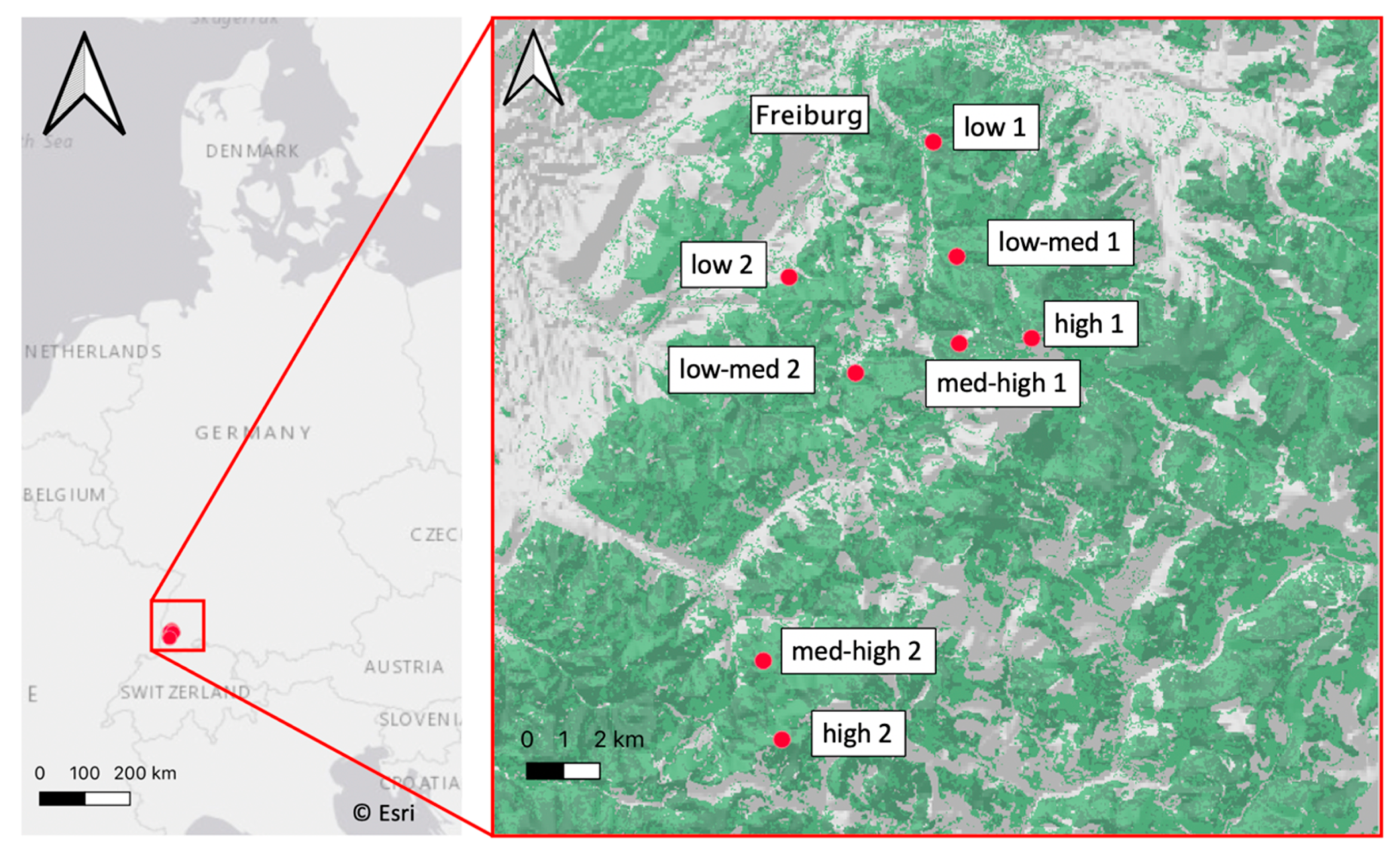 Forests 12 00075 g001