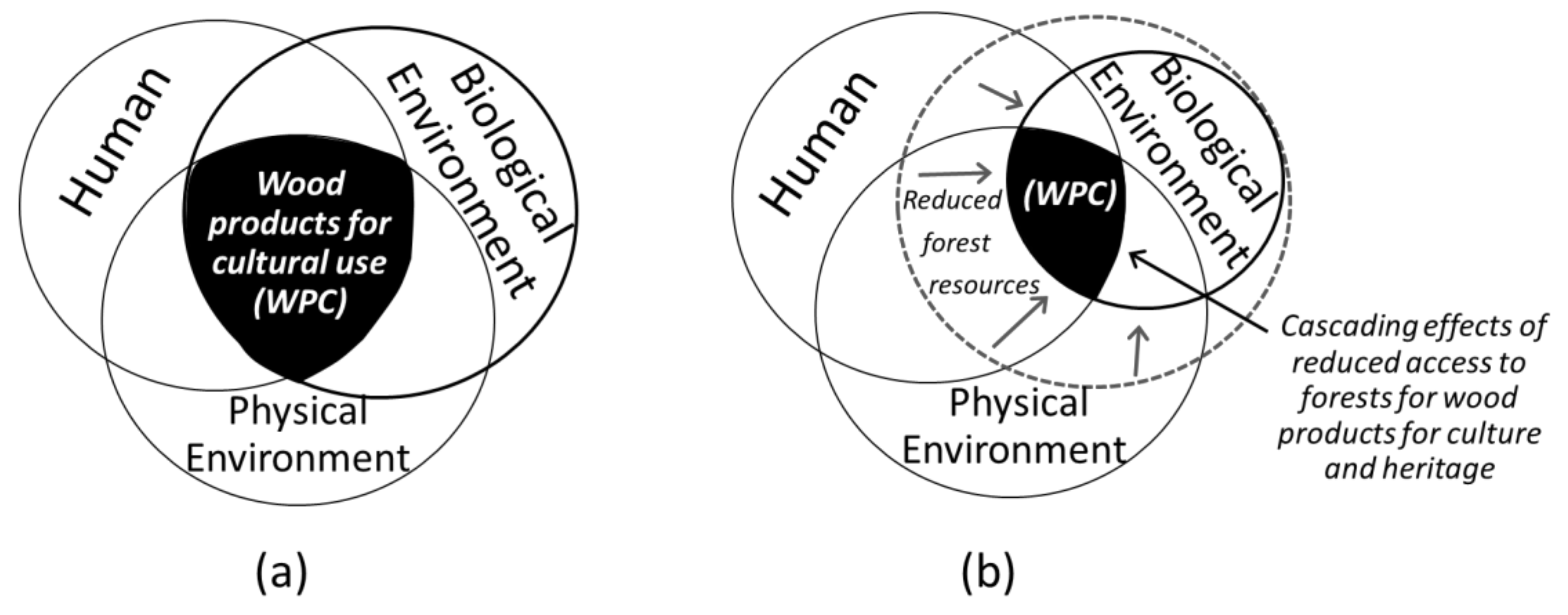 Forests 12 00090 g004 Forests 12 00090 g004