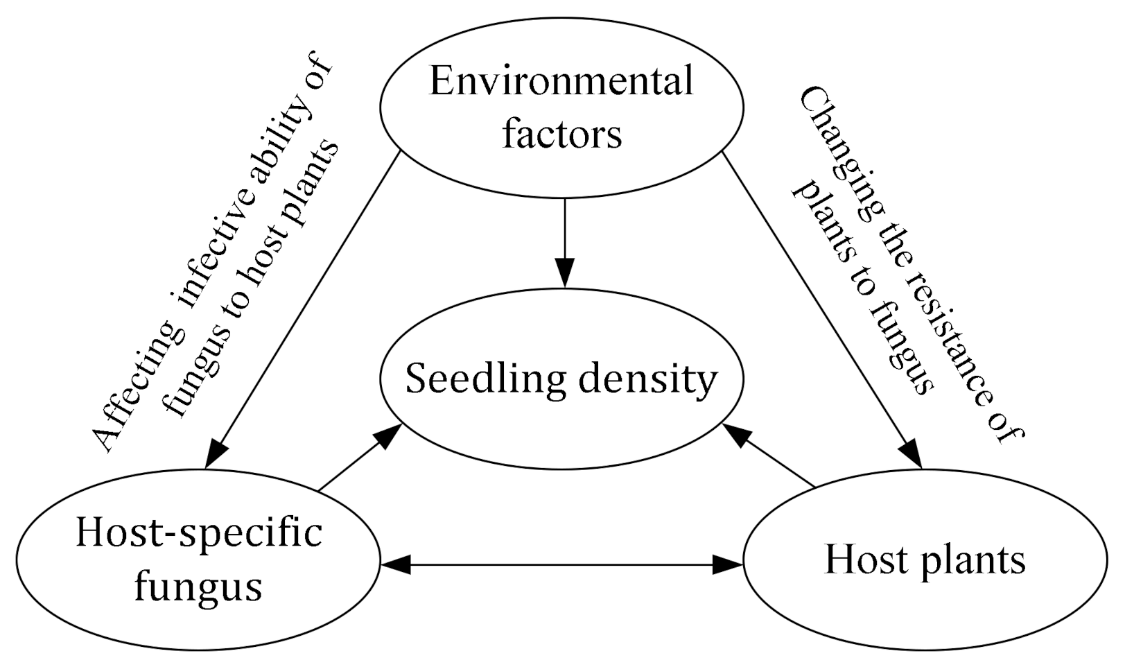 Forests 12 00092 g001