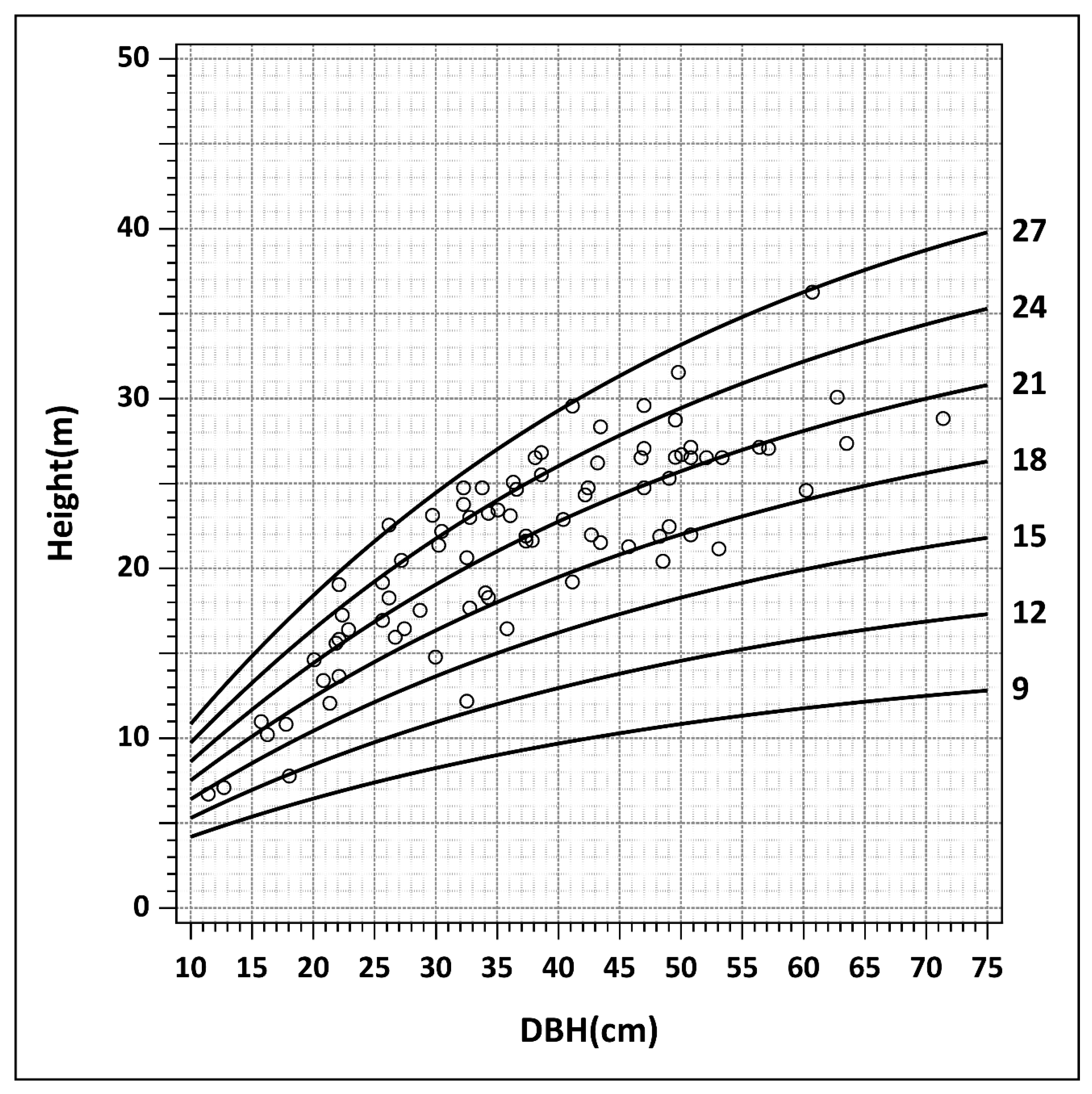 Forests 12 00094 g004