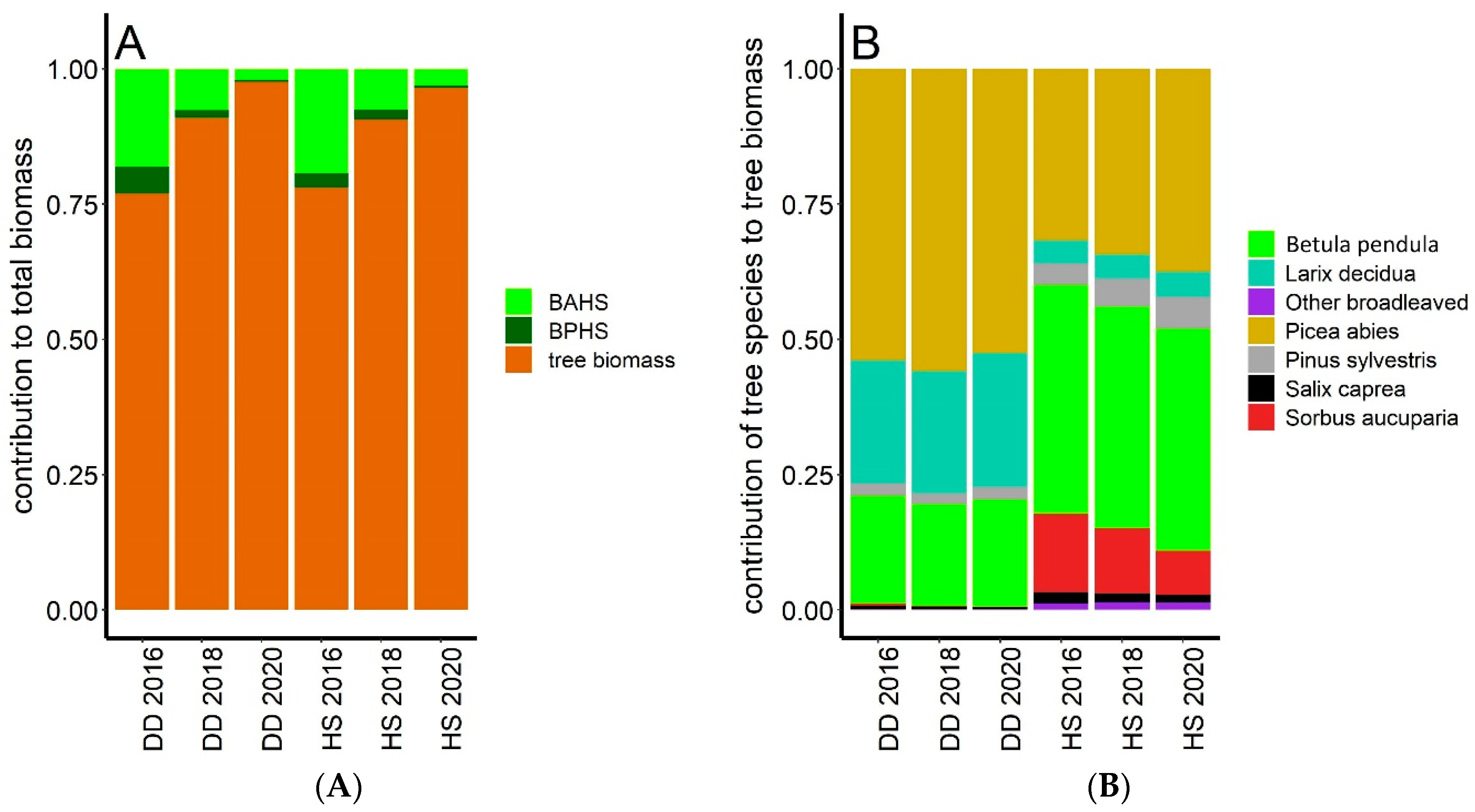 Forests 12 00097 g002