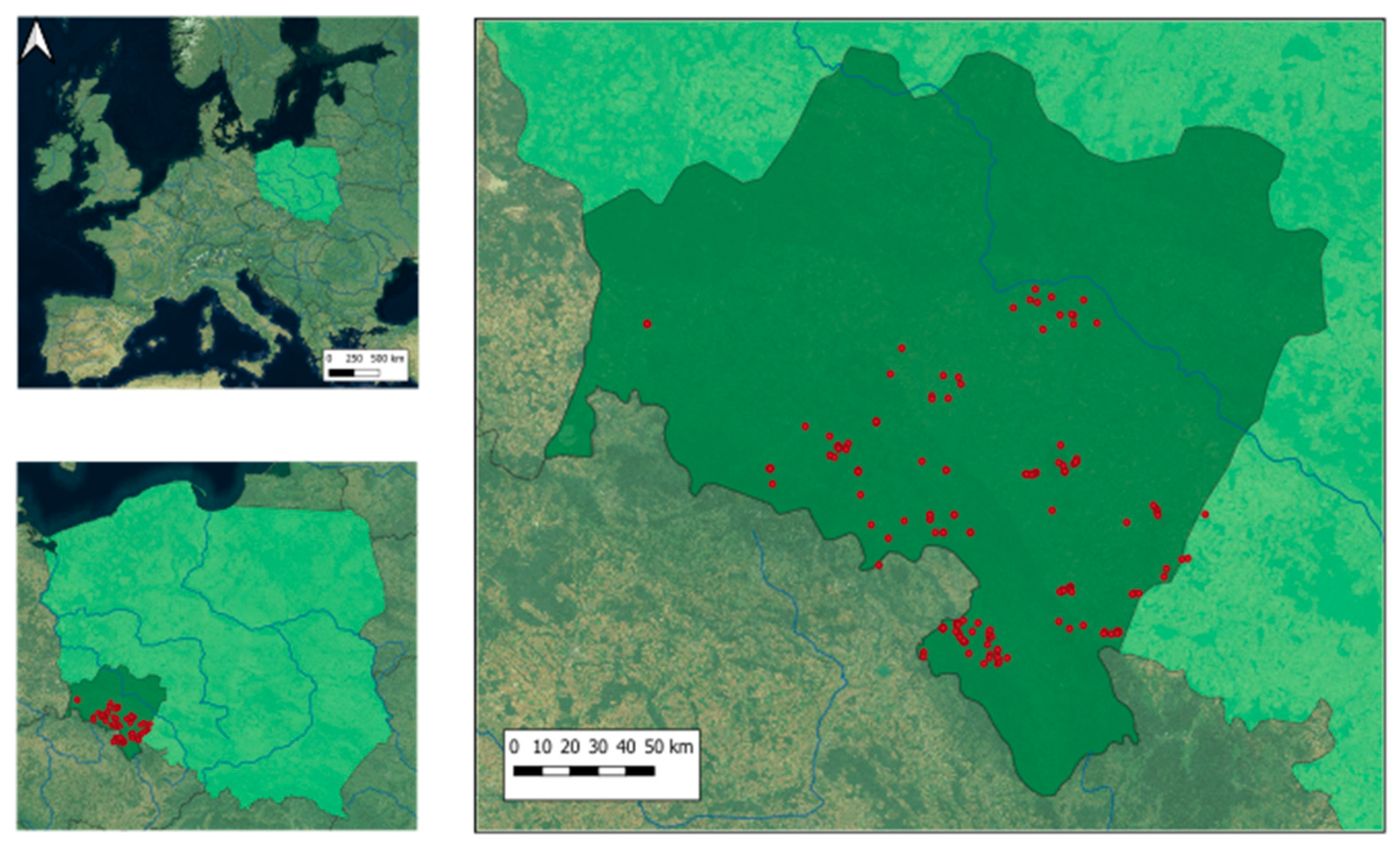 Forests 12 00098 g001