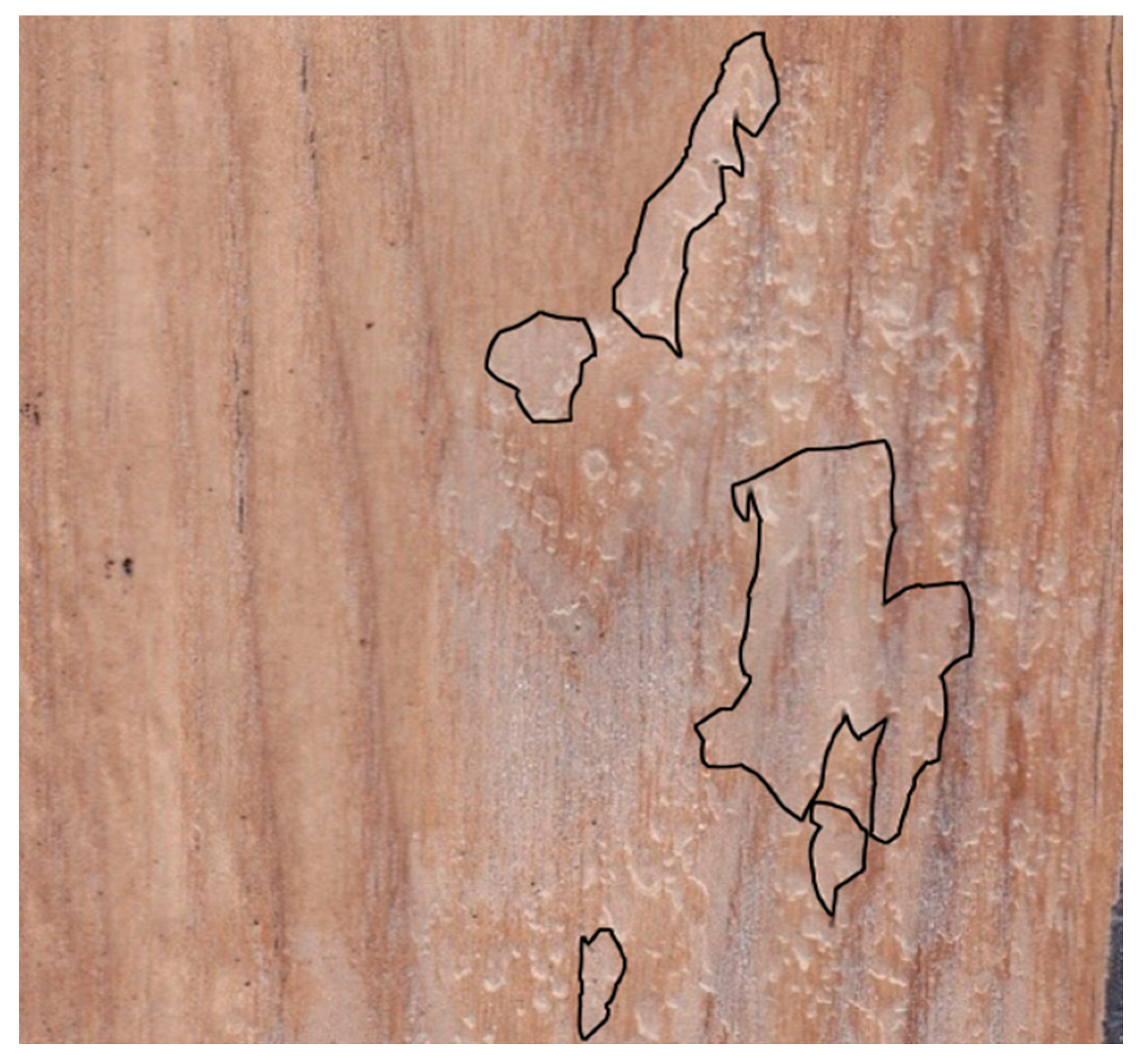 Forests 12 00102 g001