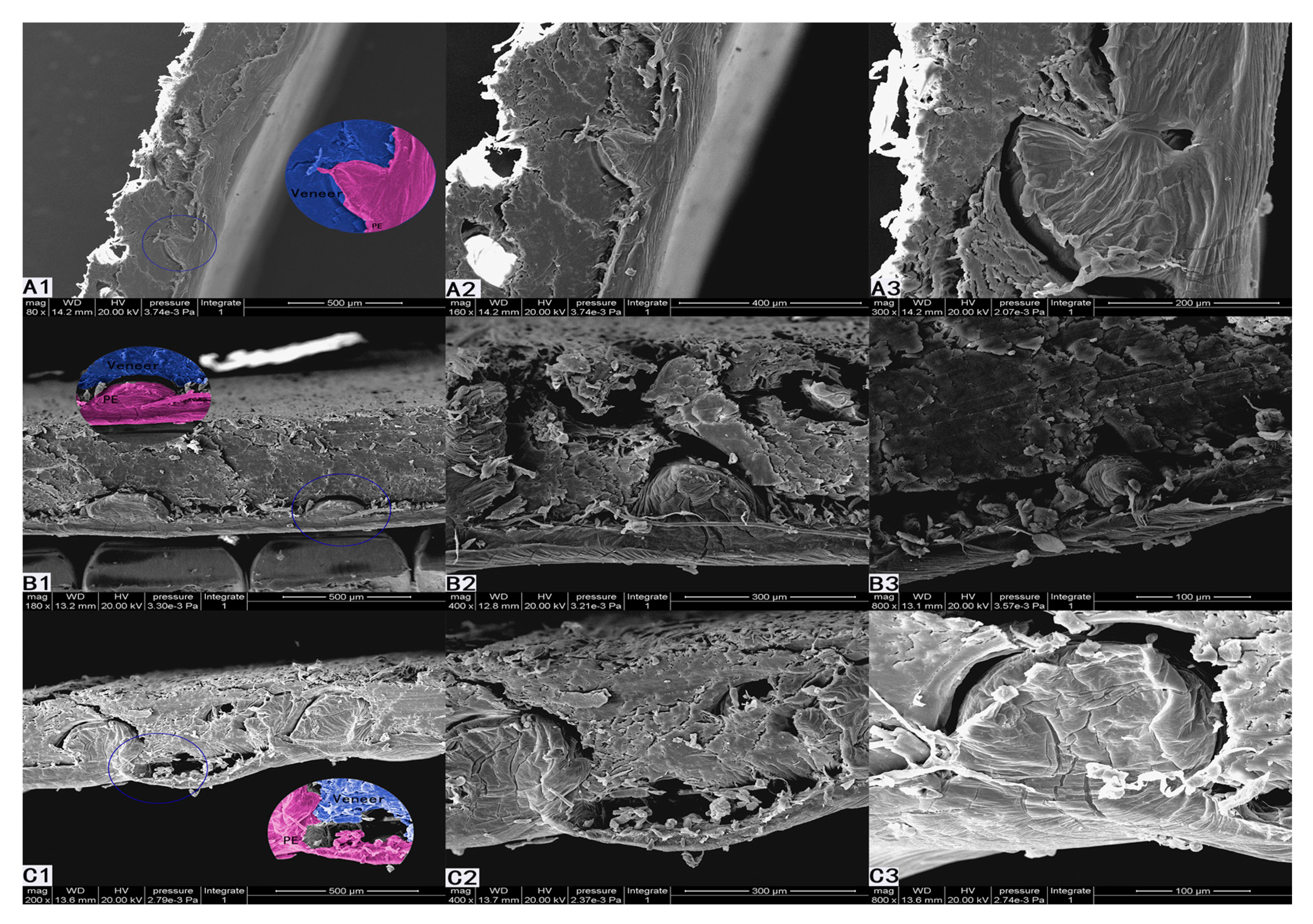 Forests 12 00102 g004