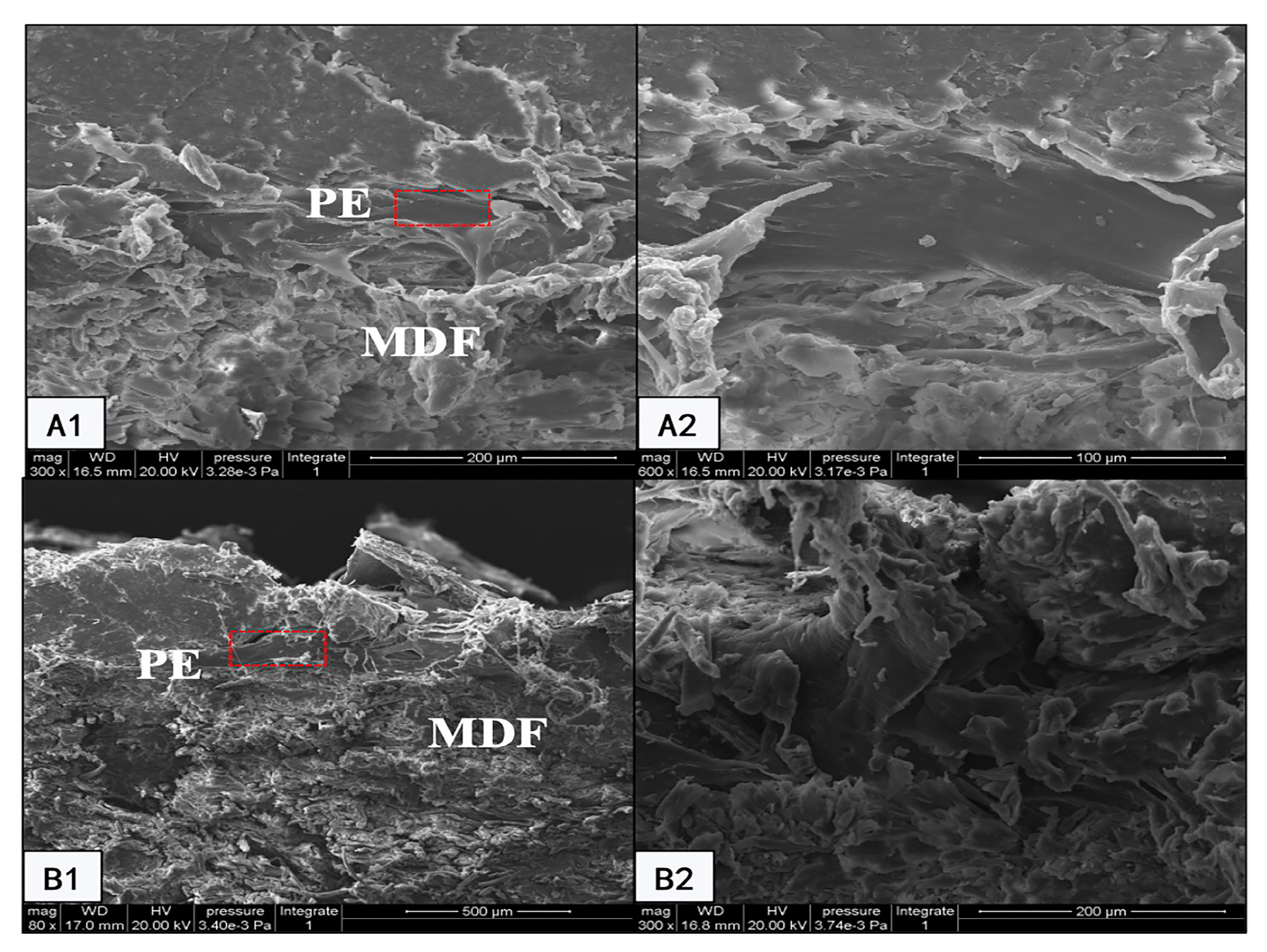 Forests 12 00102 g006