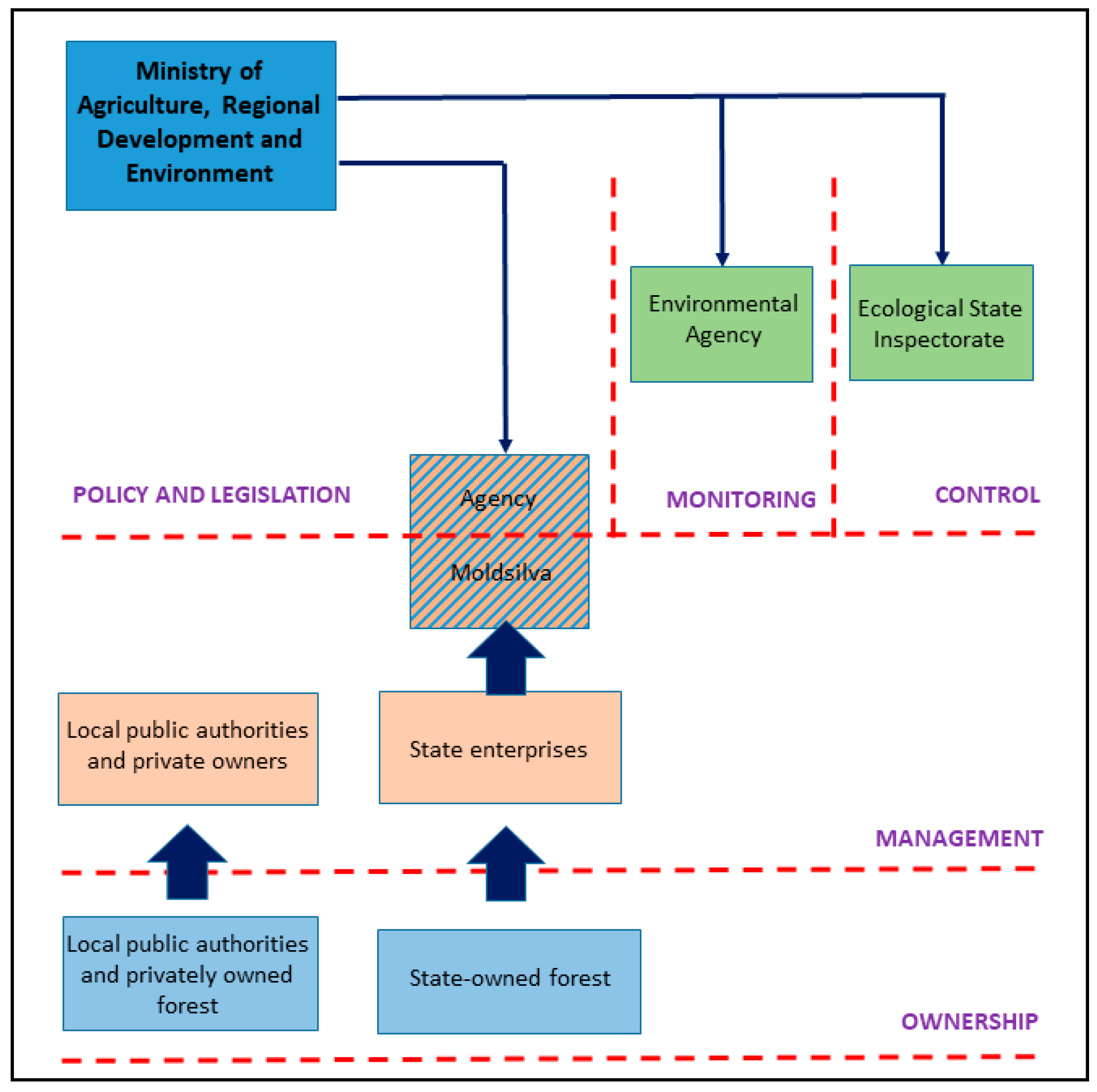 Forests 12 00105 g001