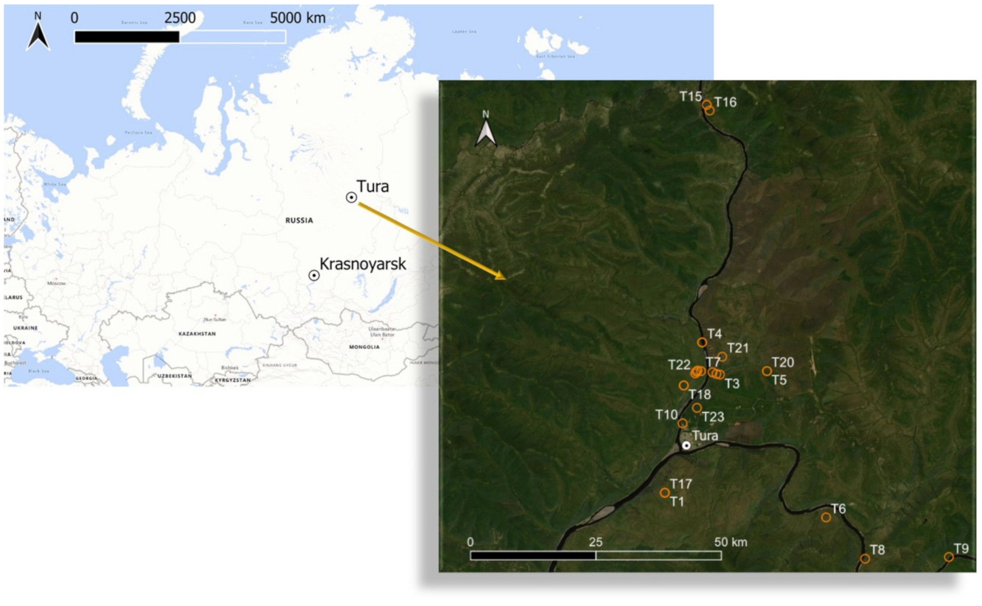 Forests 12 00107 g001 Forests 12 00107 g001