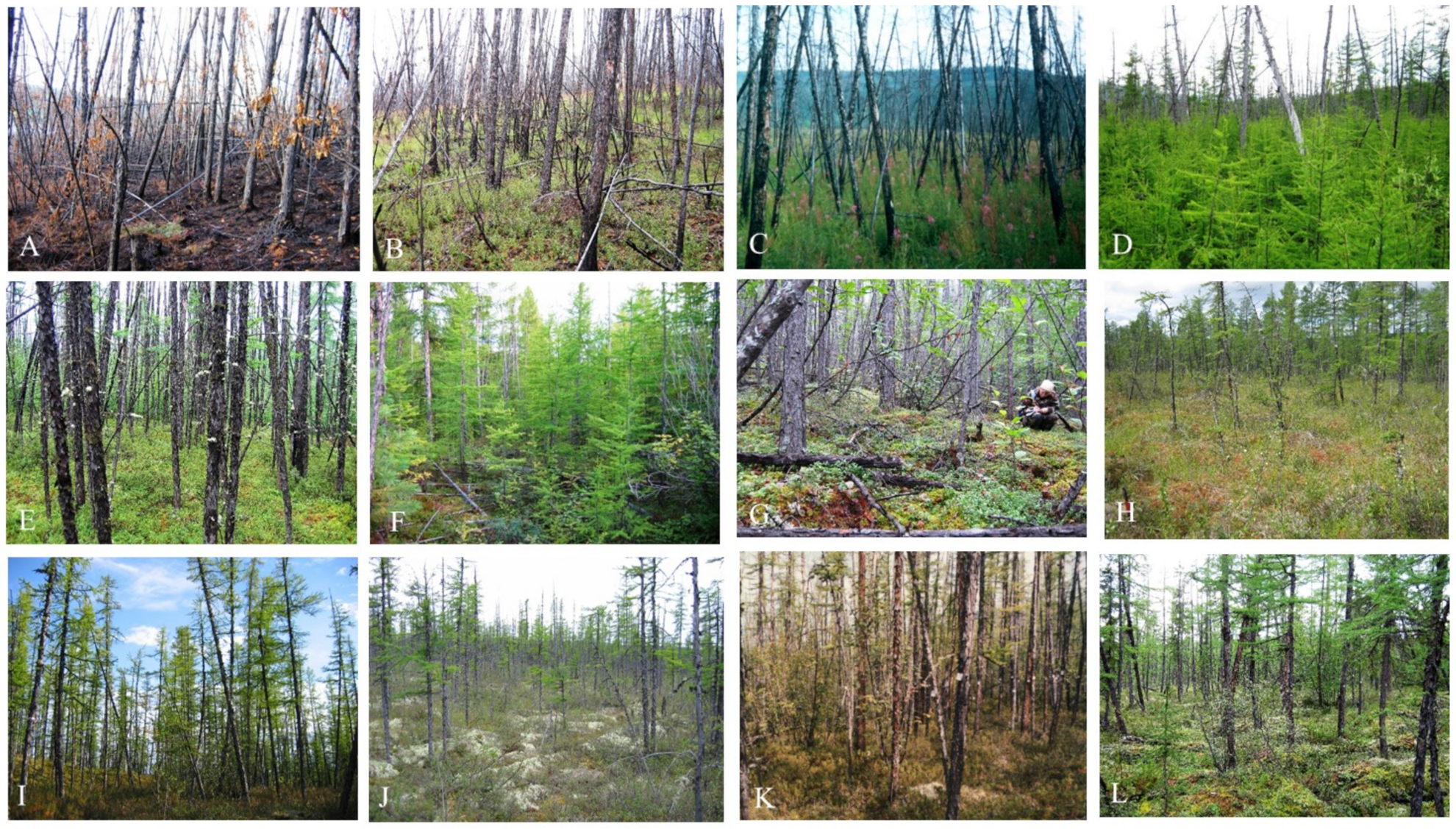 Forests 12 00107 g002 Forests 12 00107 g002