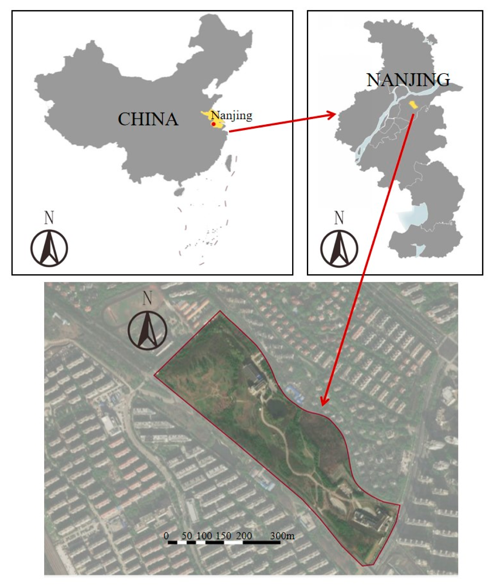 Forests 12 00111 g002 Forests 12 00111 g002