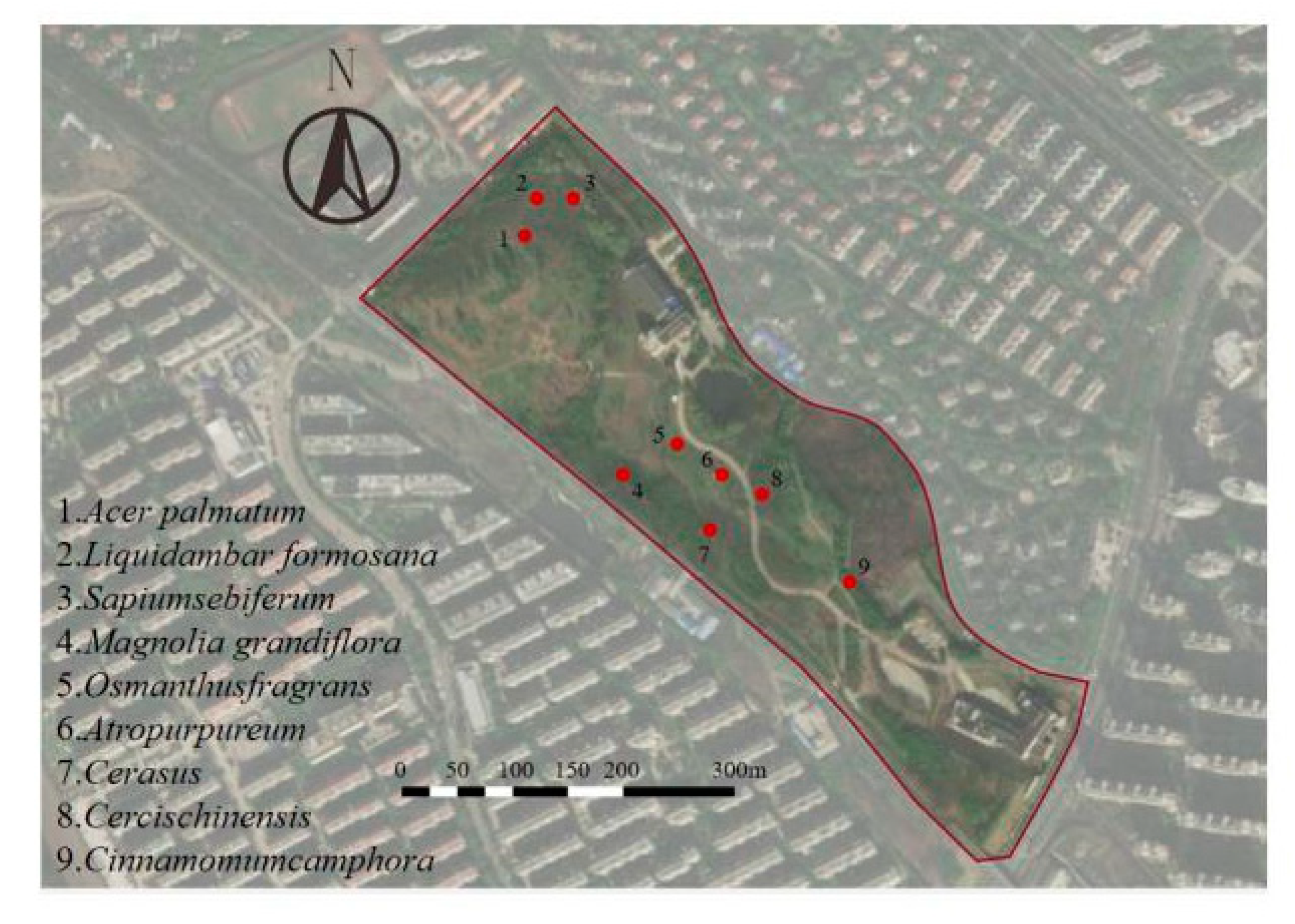 Forests 12 00111 g003 Forests 12 00111 g003