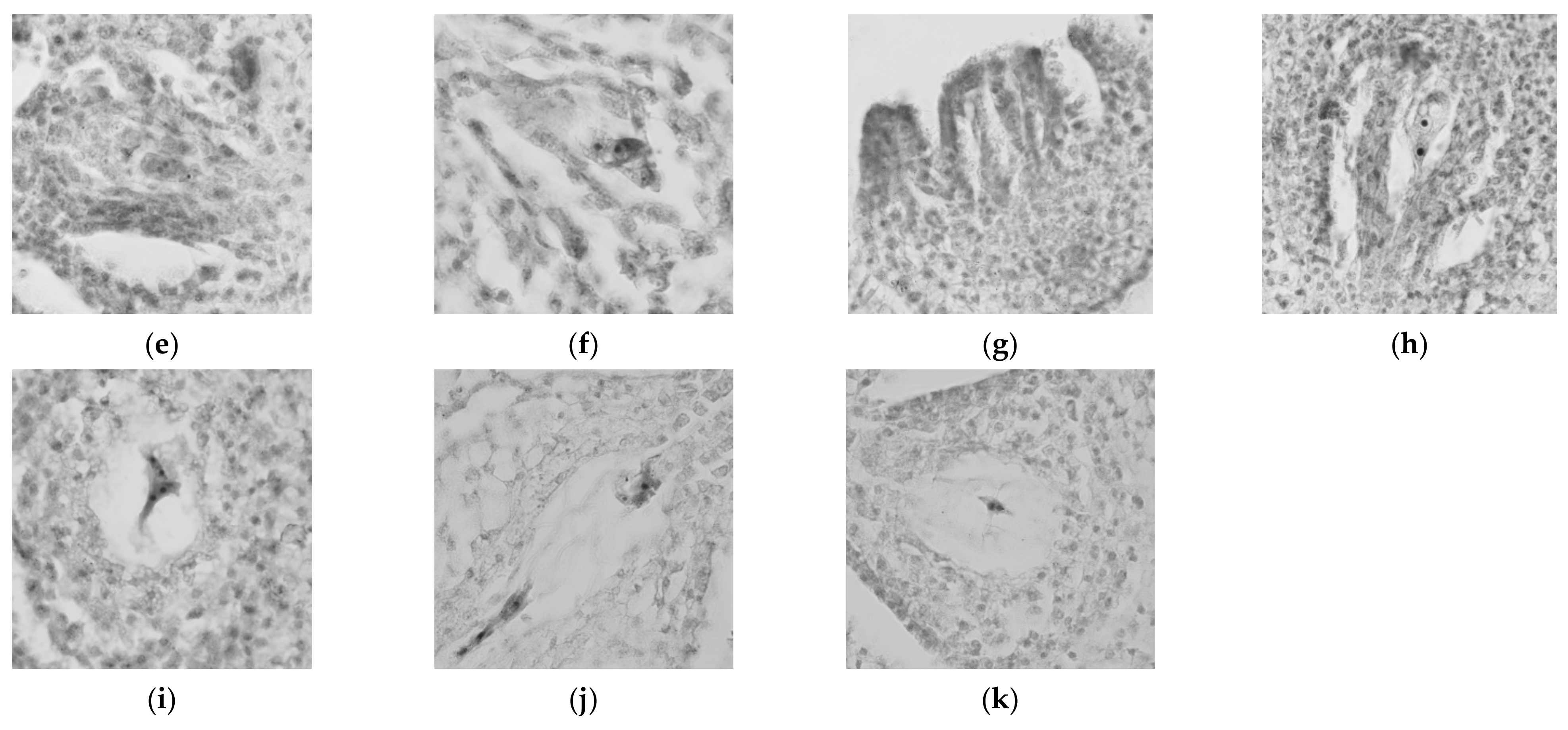 Forests 12 00112 g003b Forests 12 00112 g003b