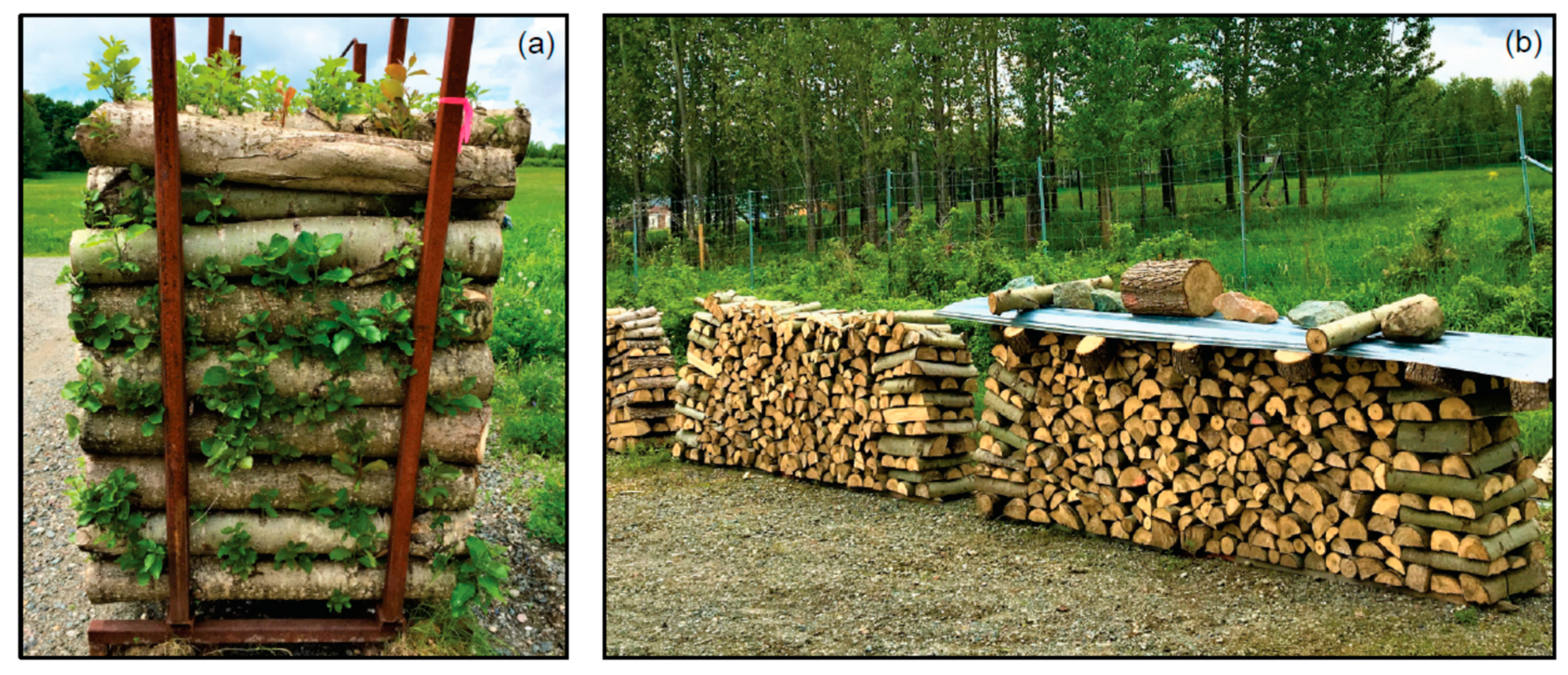 Forests 12 00122 g007 Forests 12 00122 g007