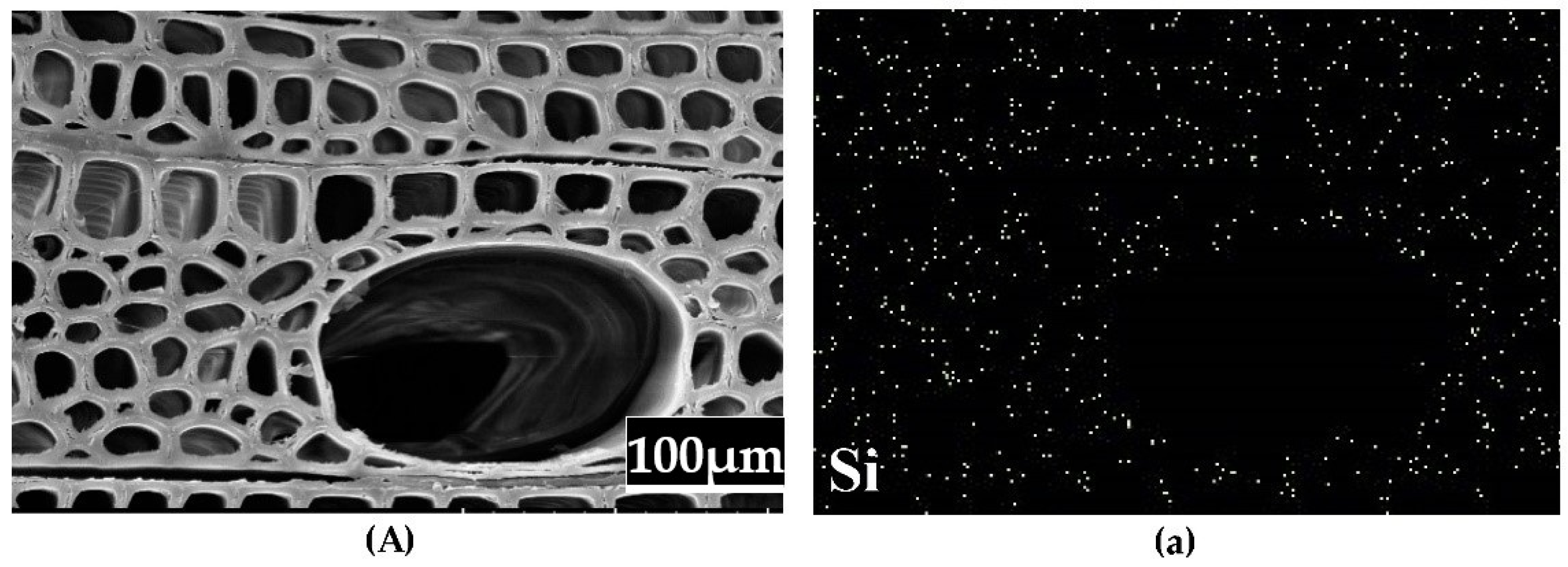 Forests 12 00127 g004a Forests 12 00127 g004a