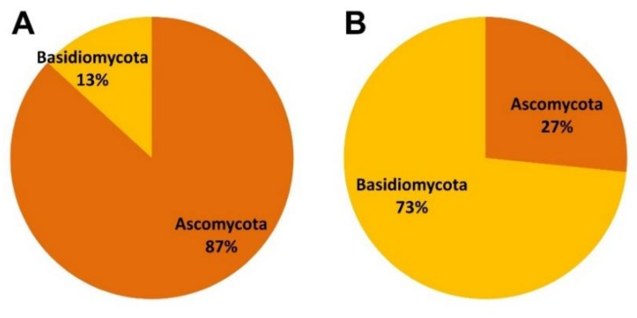 Forests 12 00134 g003 Forests 12 00134 g003