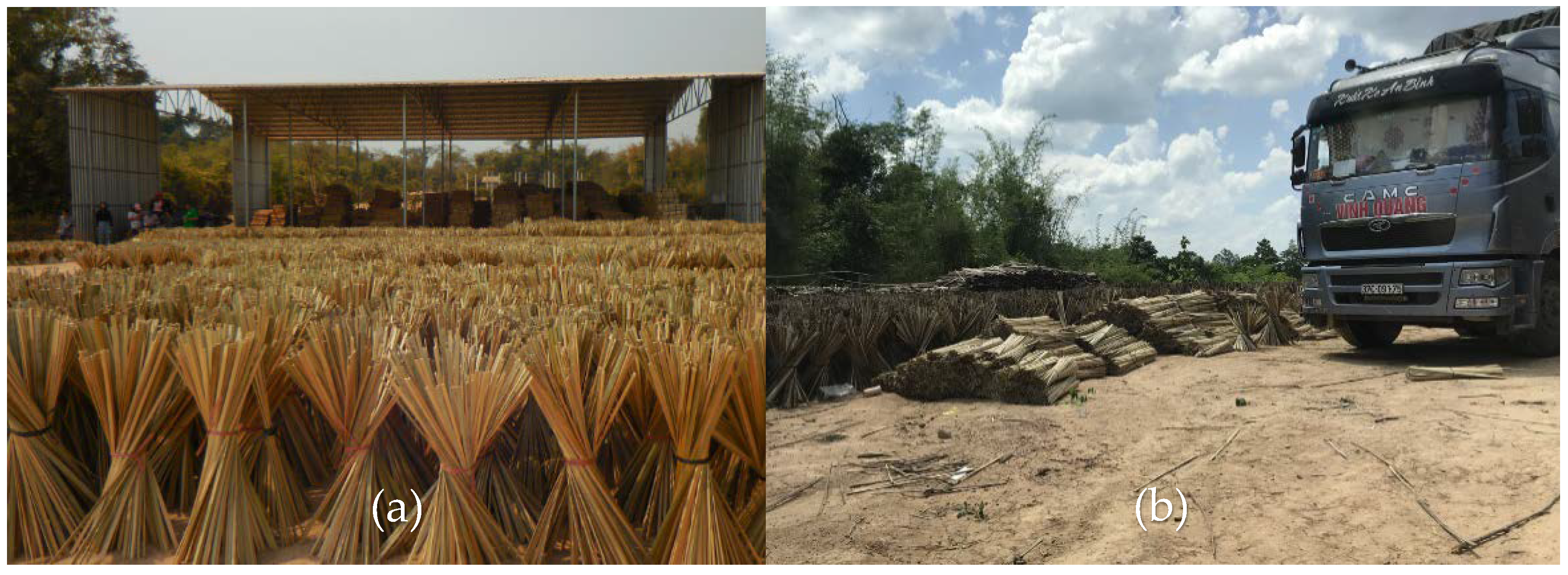 Forests 12 00153 g004 Forests 12 00153 g004