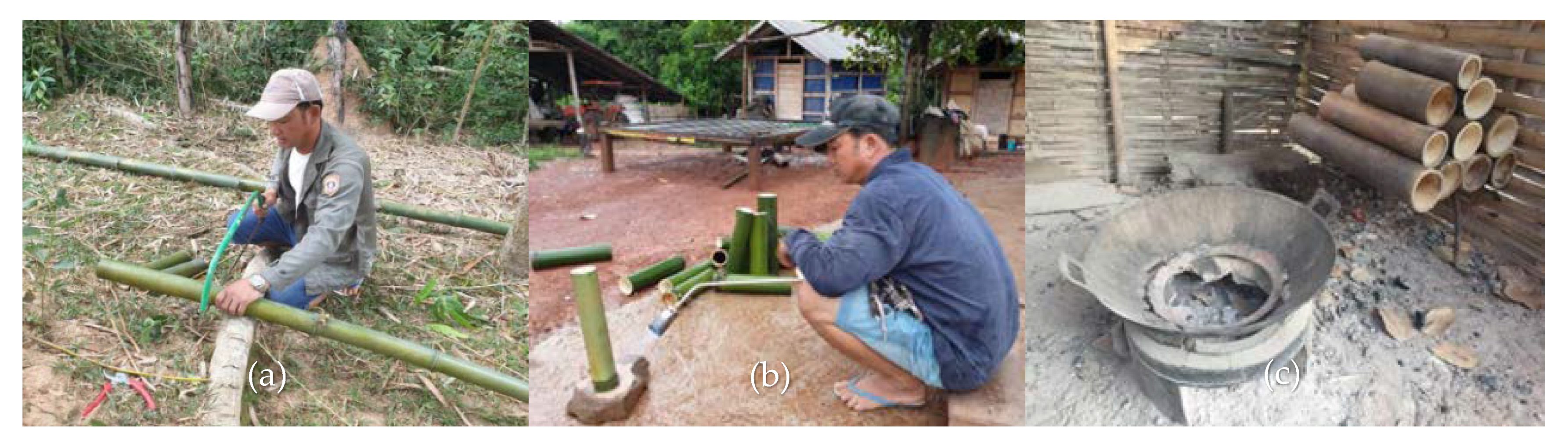 Forests 12 00153 g006 Forests 12 00153 g006