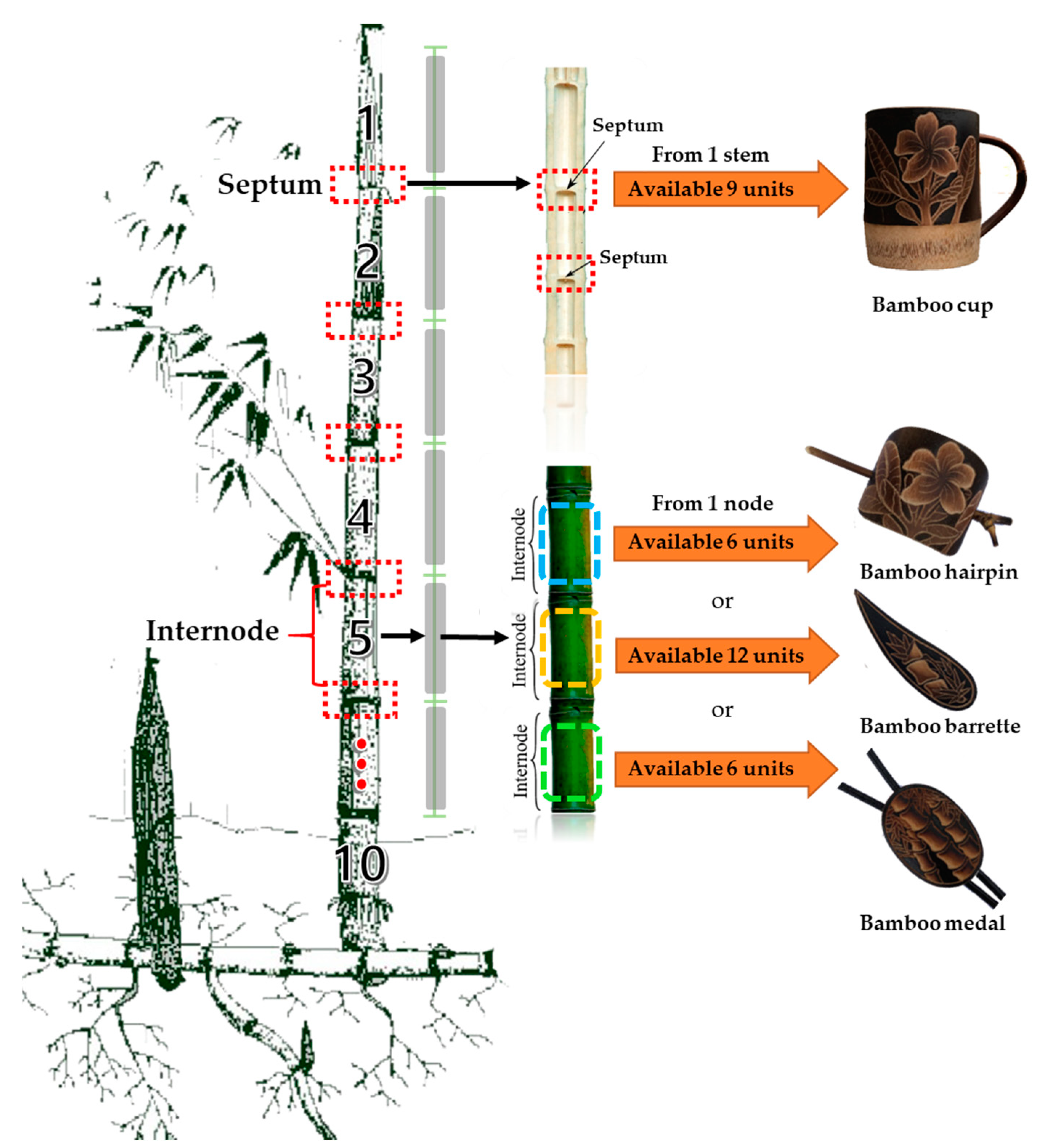 Forests 12 00153 g007 Forests 12 00153 g007