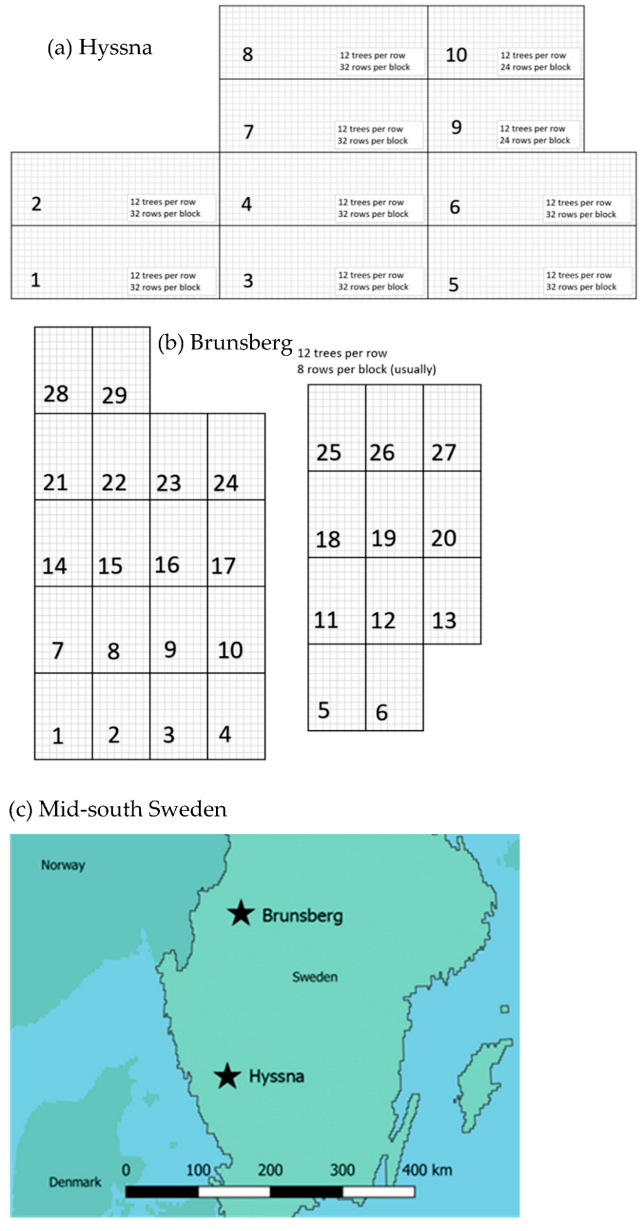 Forests 12 00159 g001 Forests 12 00159 g001