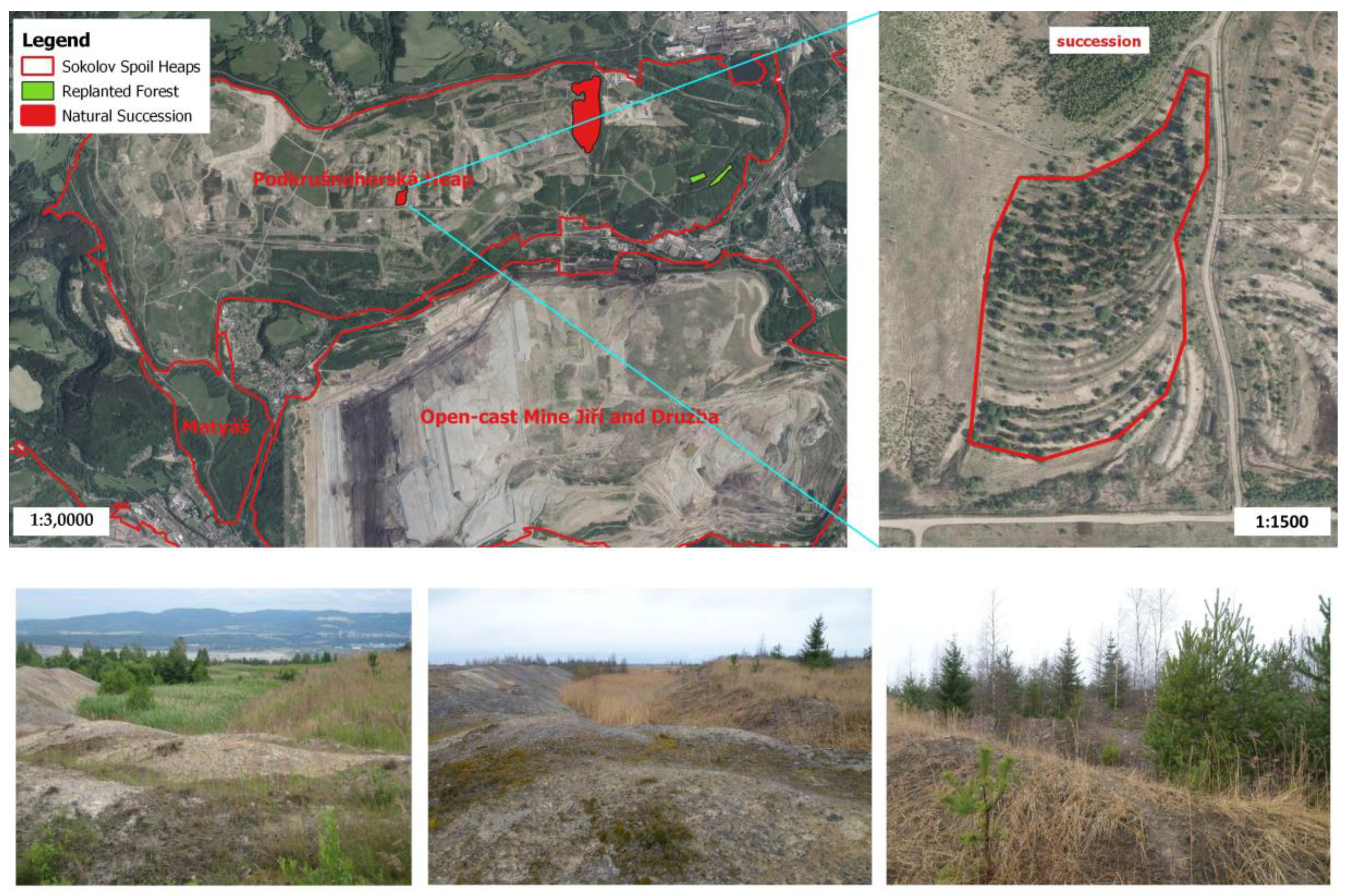 Forests 12 00160 g002
