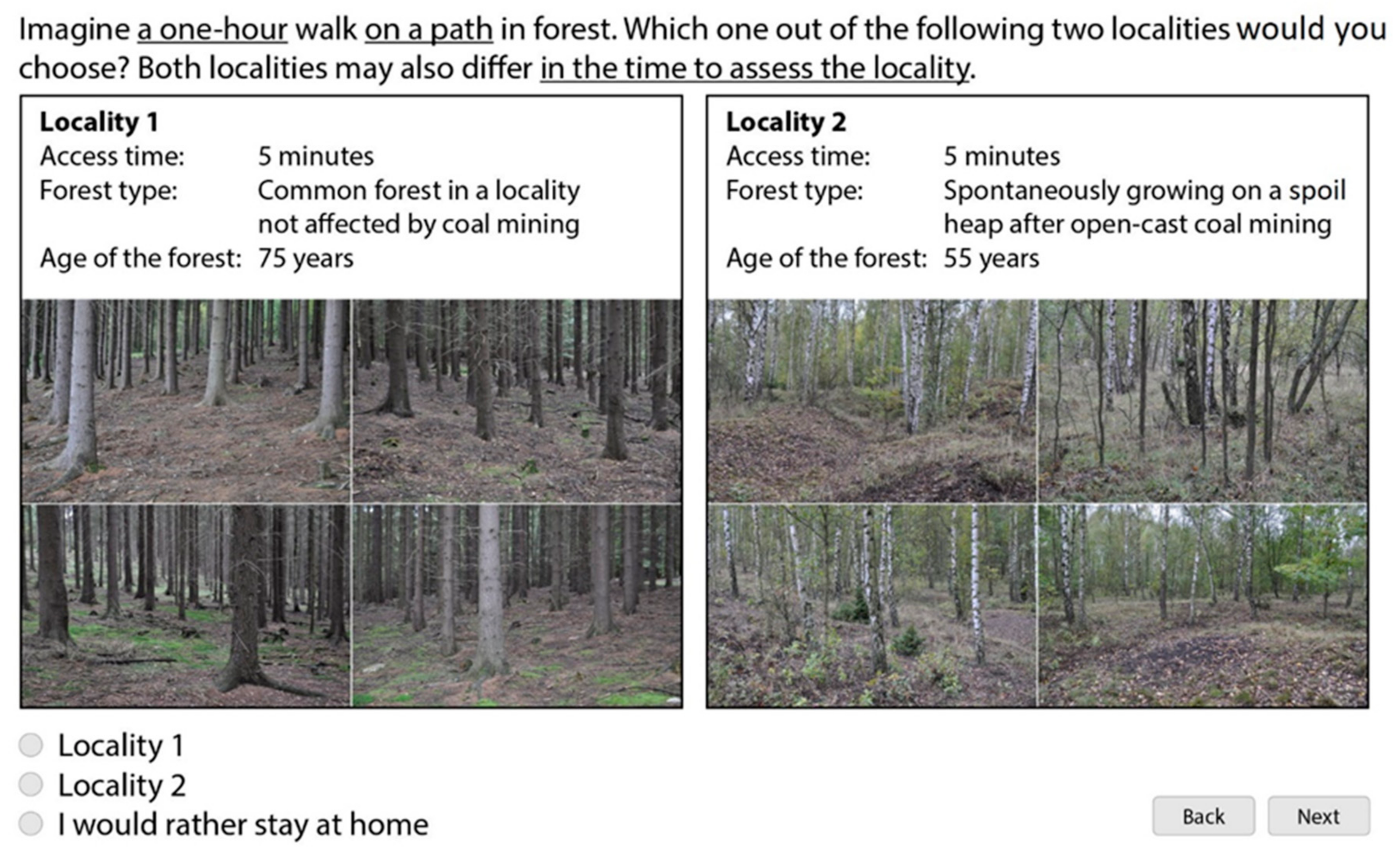 Forests 12 00160 g003