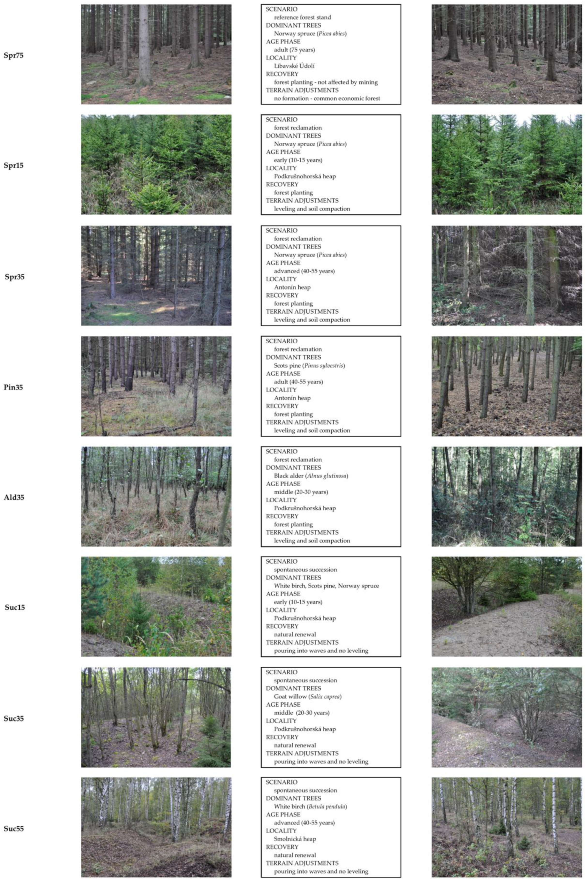 Forests 12 00160 g0a1