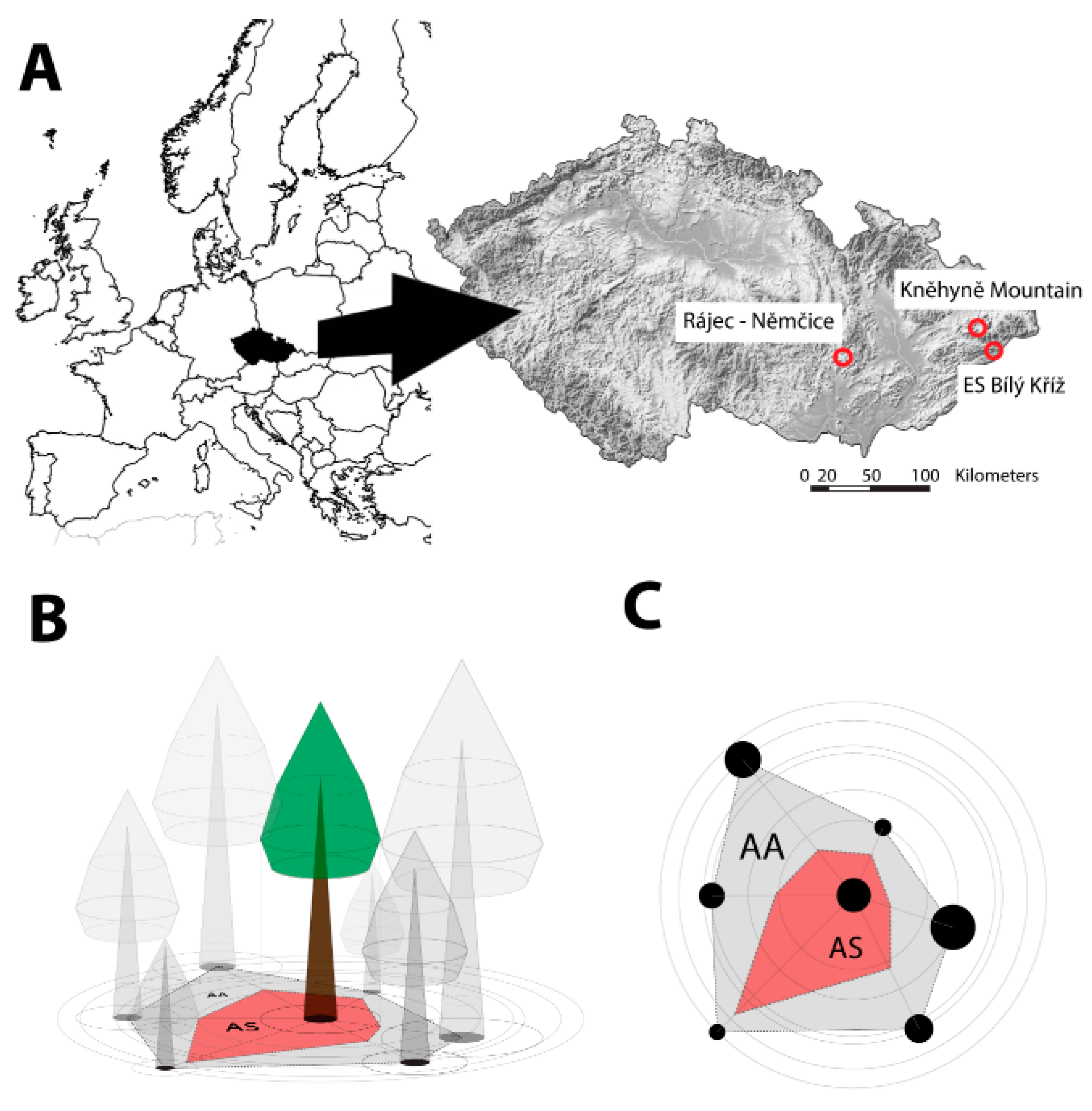 Forests 12 00163 g001