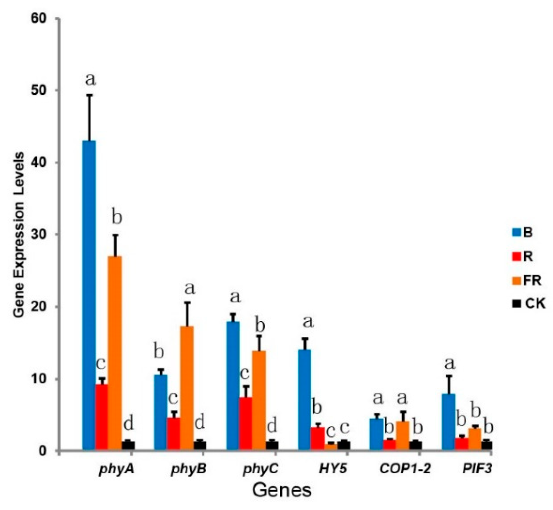 Forests 12 00164 g004 Forests 12 00164 g004