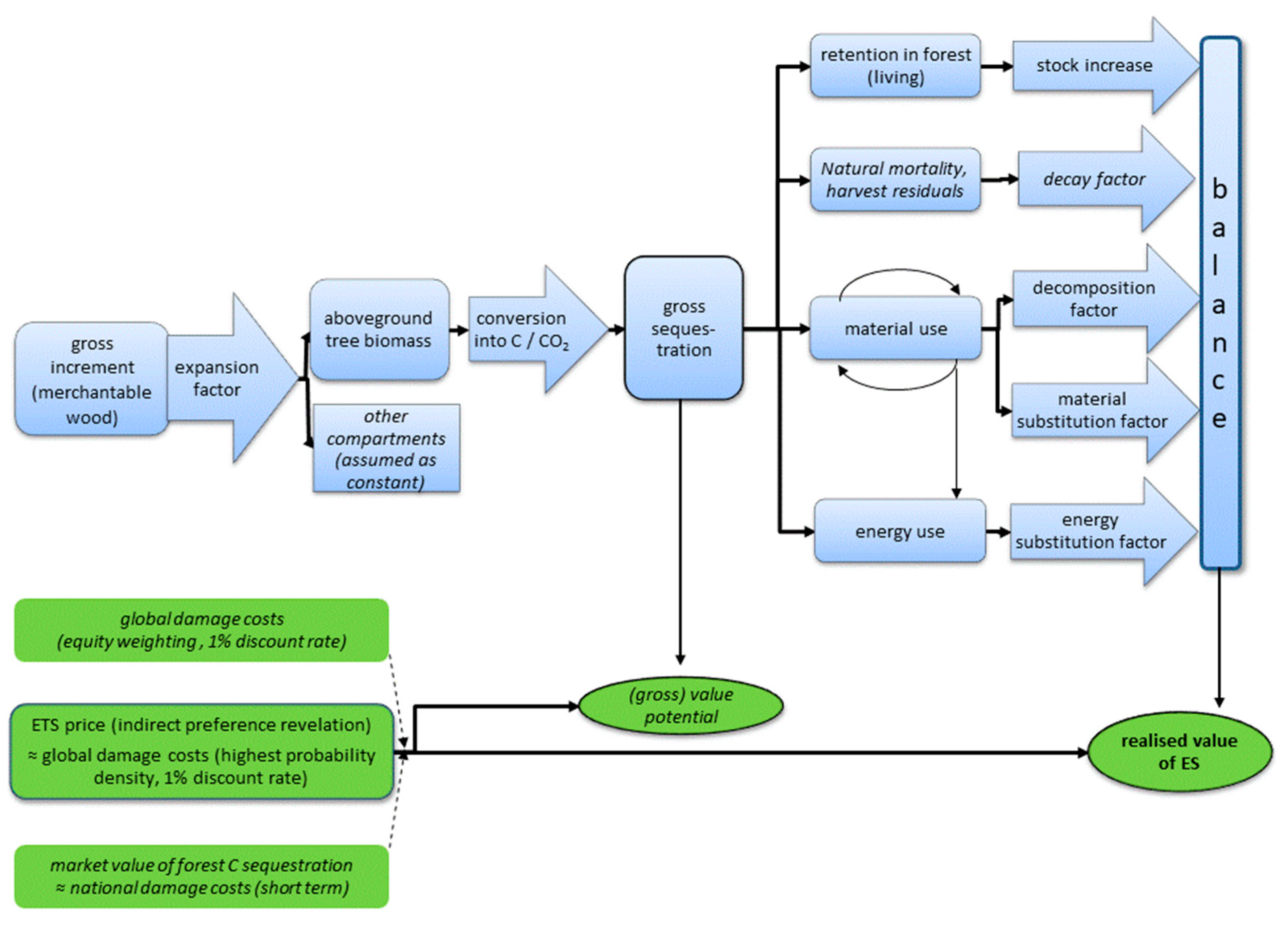 Forests 12 00169 g002