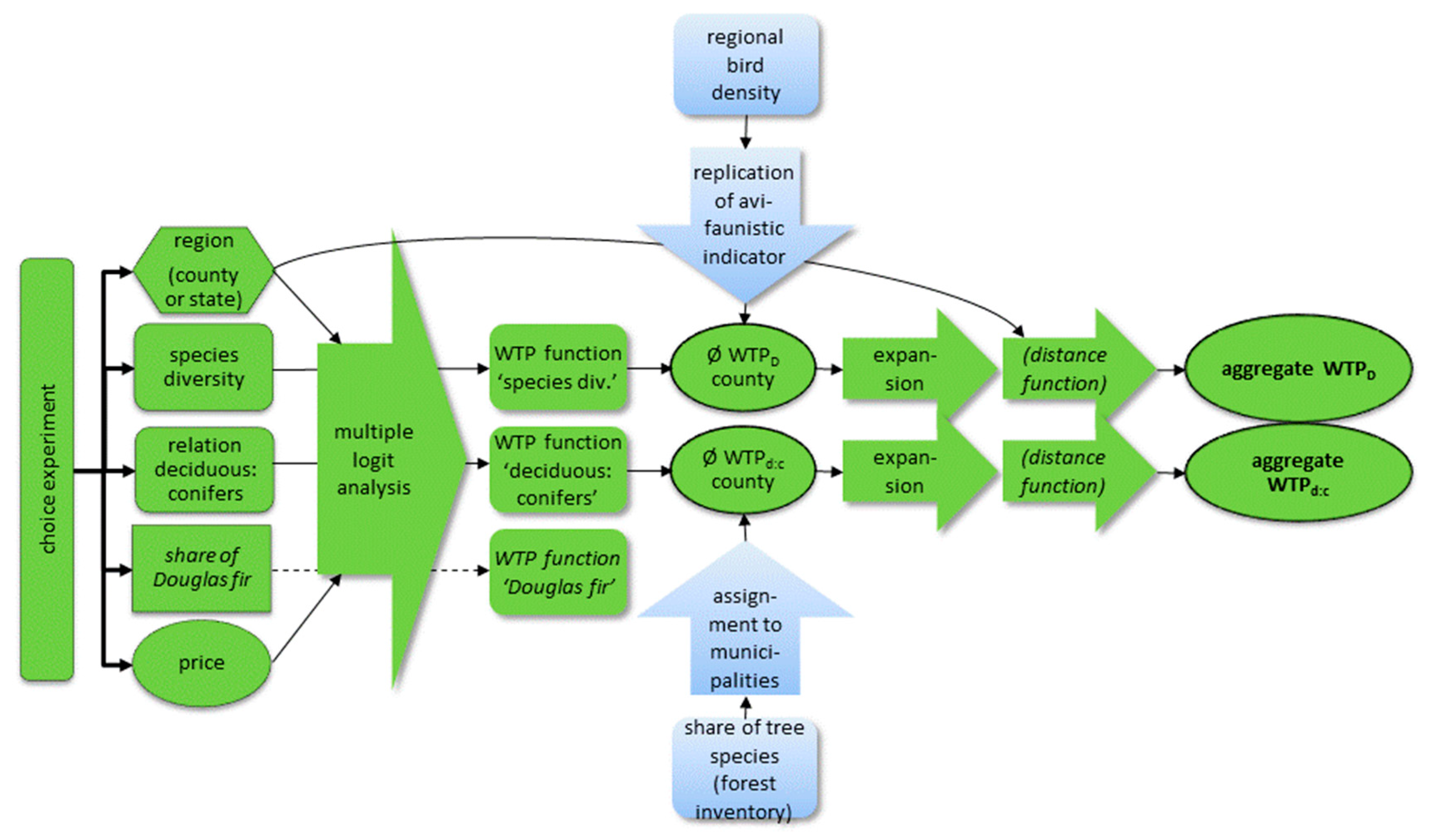 Forests 12 00169 g004
