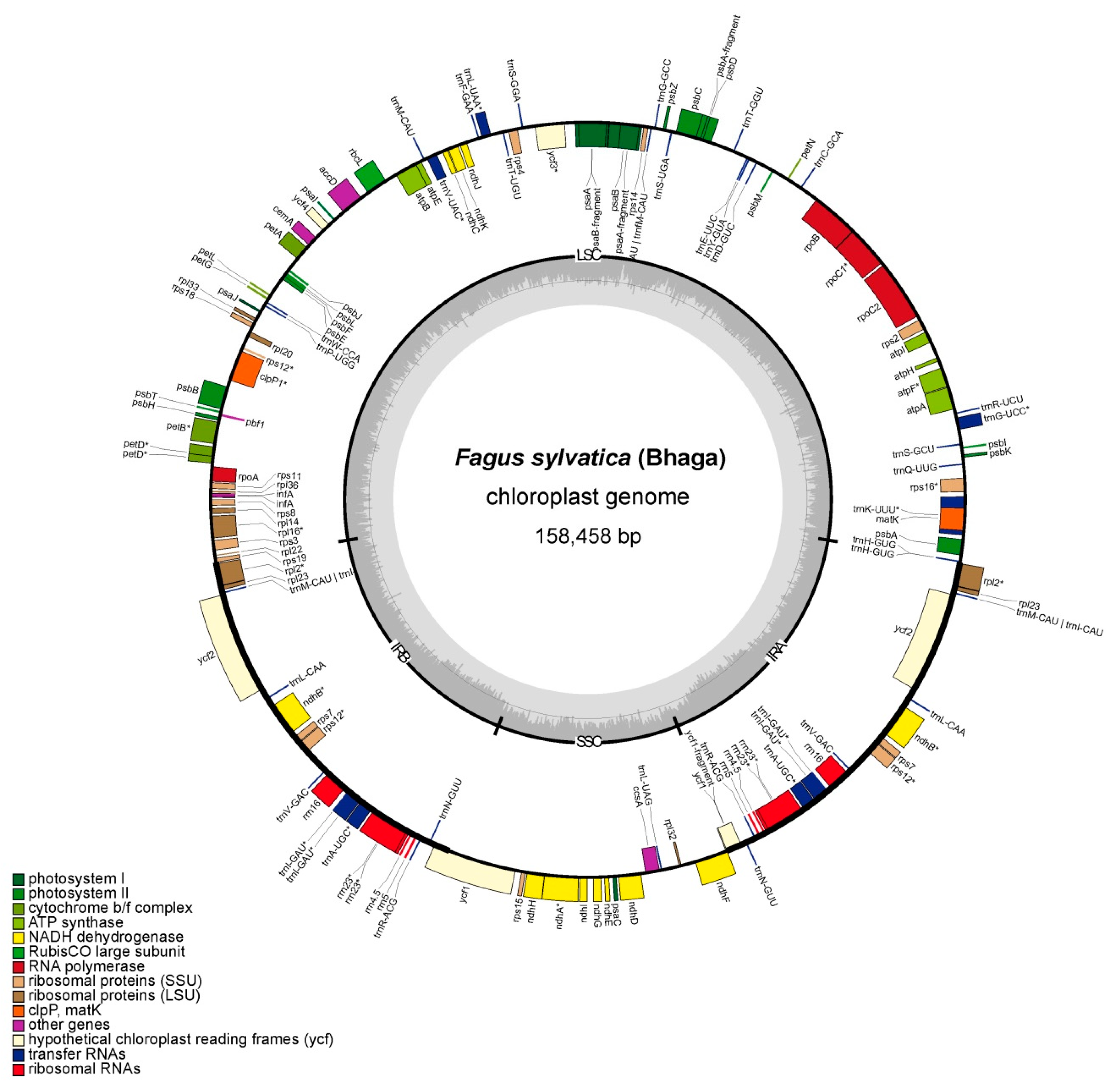 Forests 12 00180 g001