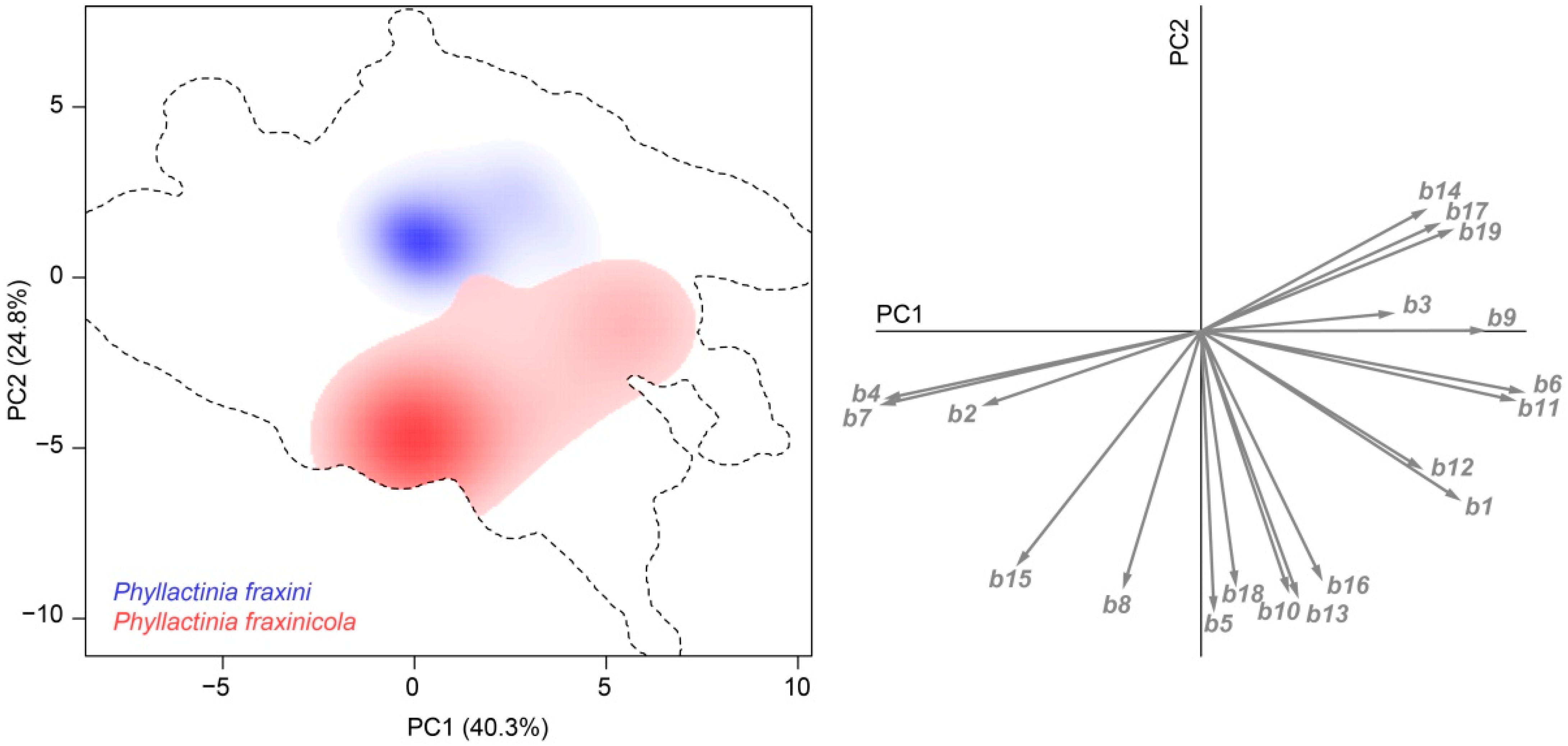 Forests 12 00183 g004