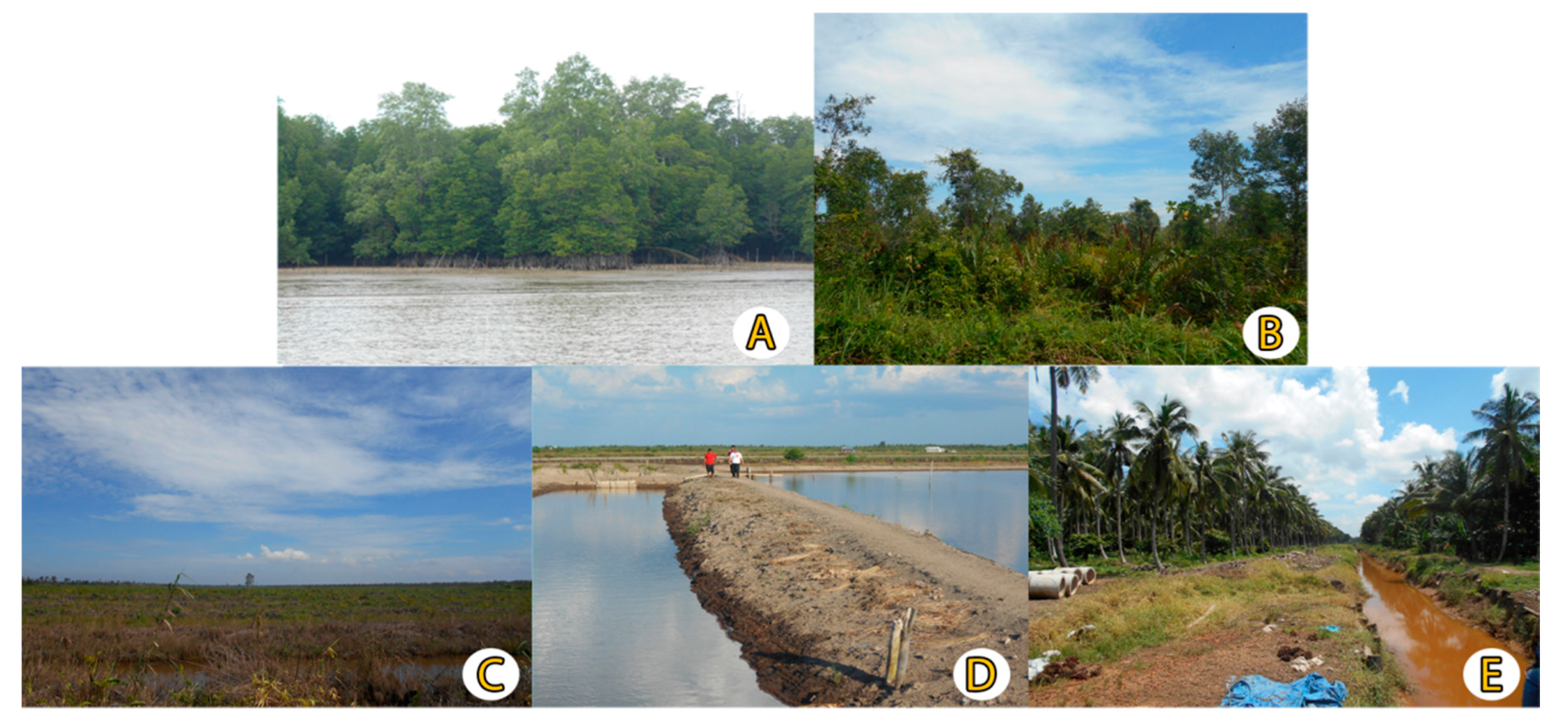 Forests 12 00187 g002