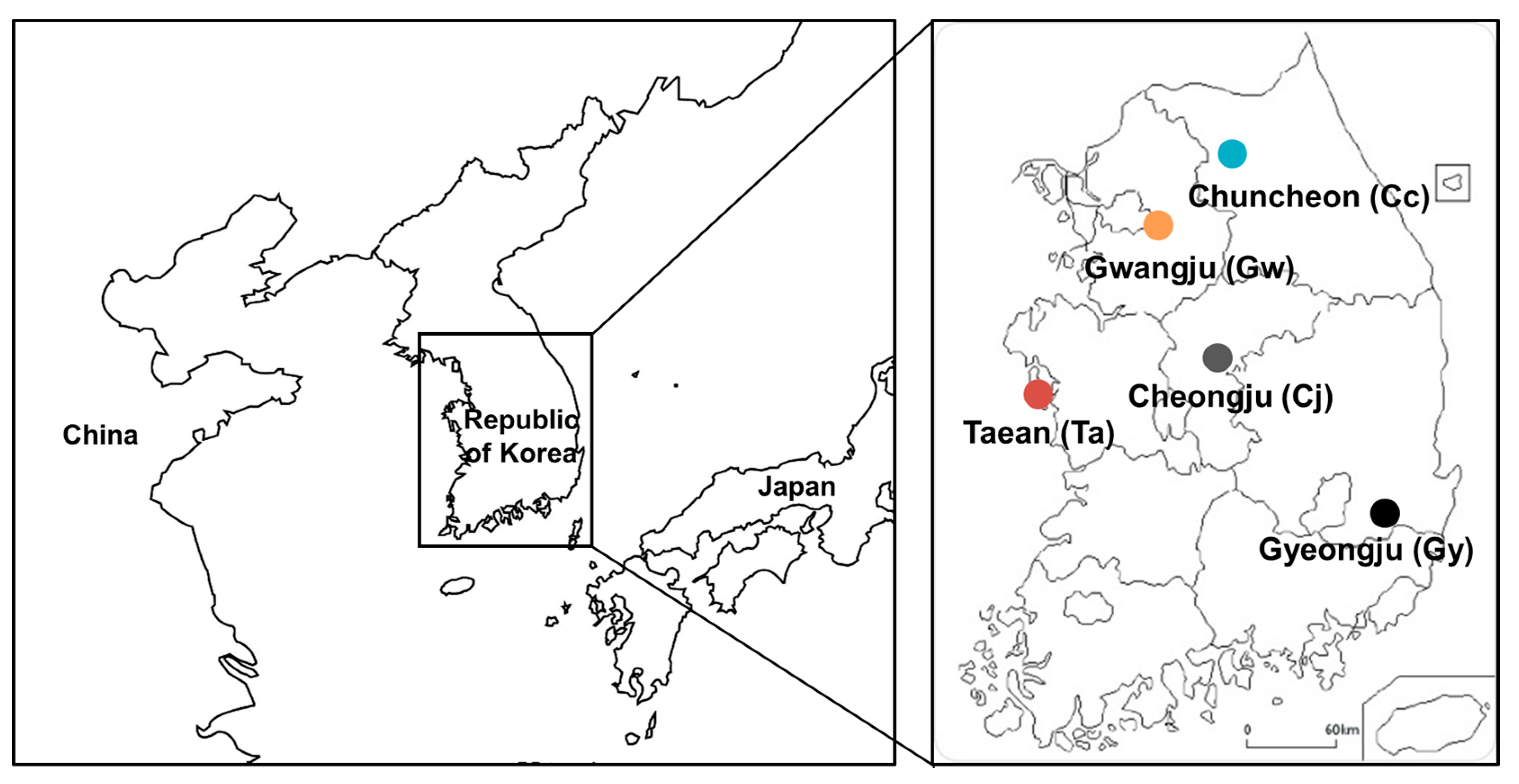Forests 12 00190 g001 Forests 12 00190 g001