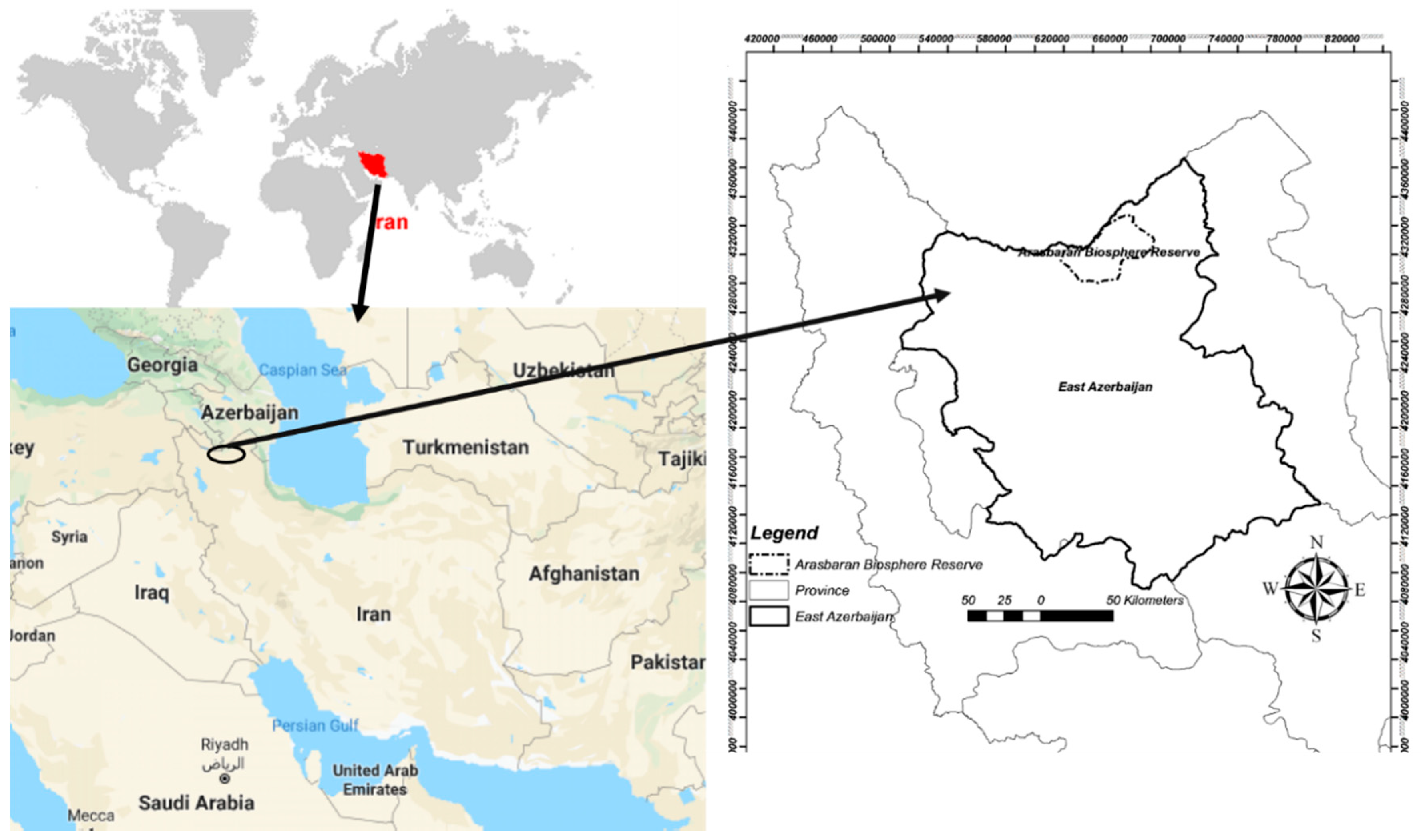 Forests 12 00191 g001 Forests 12 00191 g001