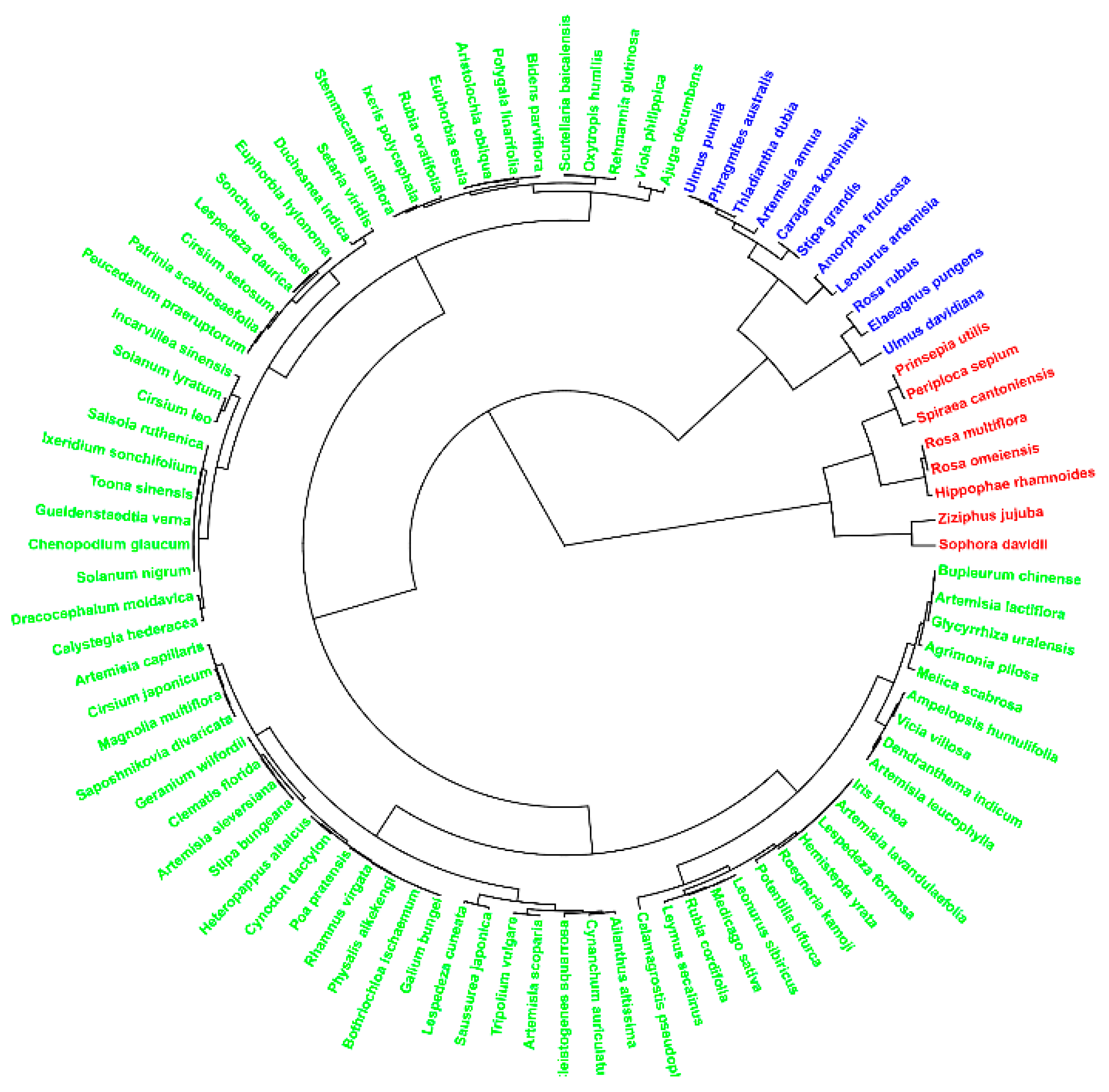 Forests 12 00195 g002 Forests 12 00195 g002