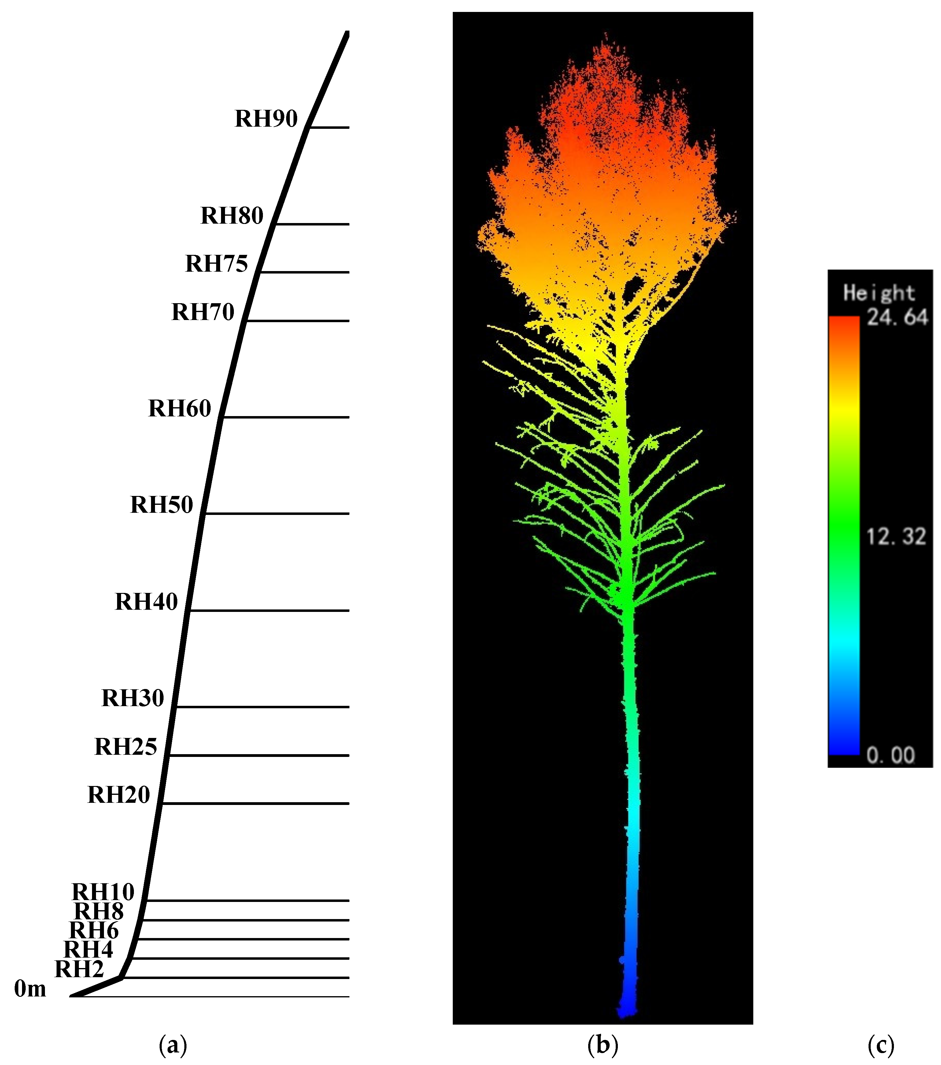 Forests 12 00196 g001