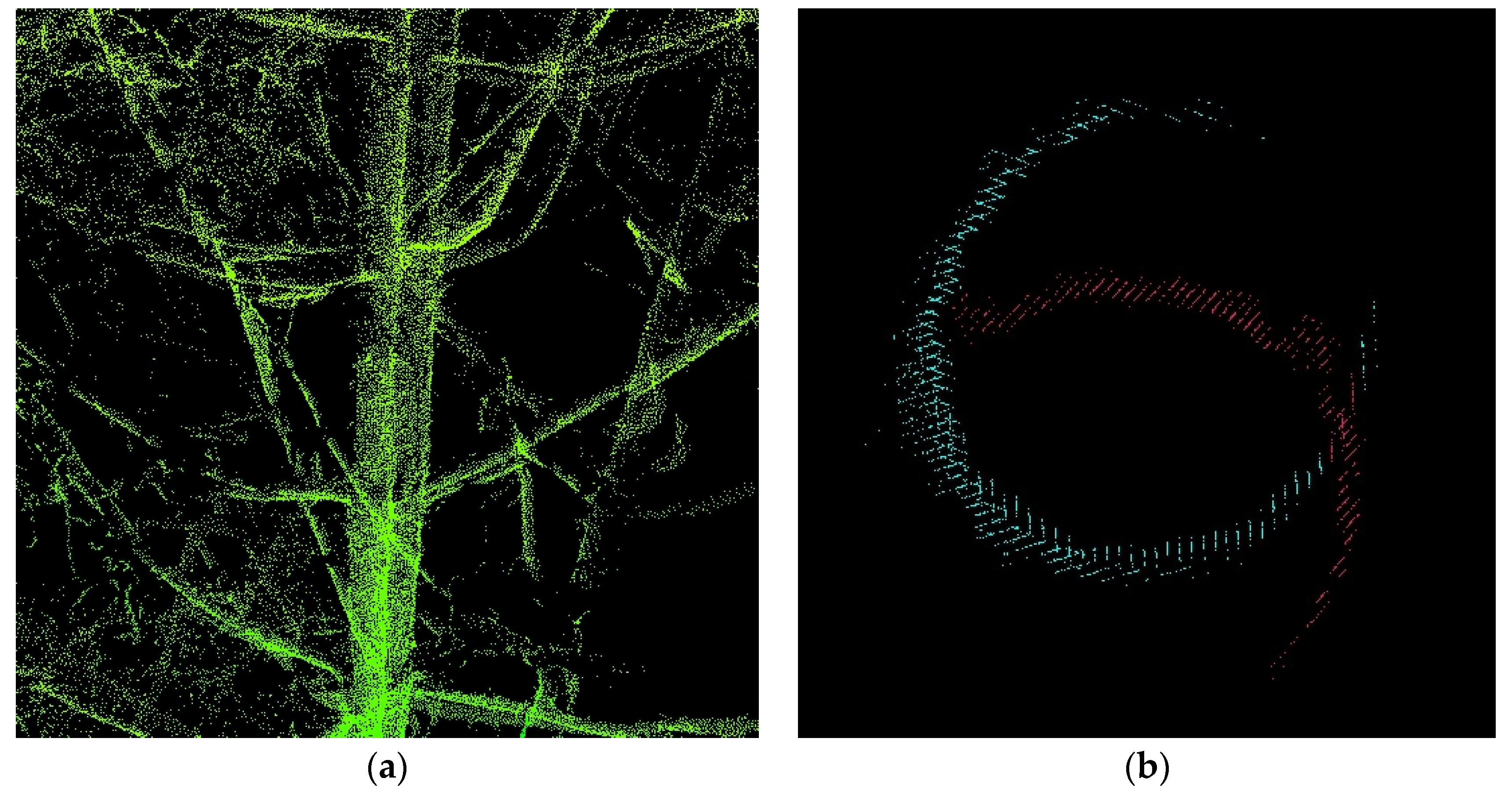 Forests 12 00196 g002