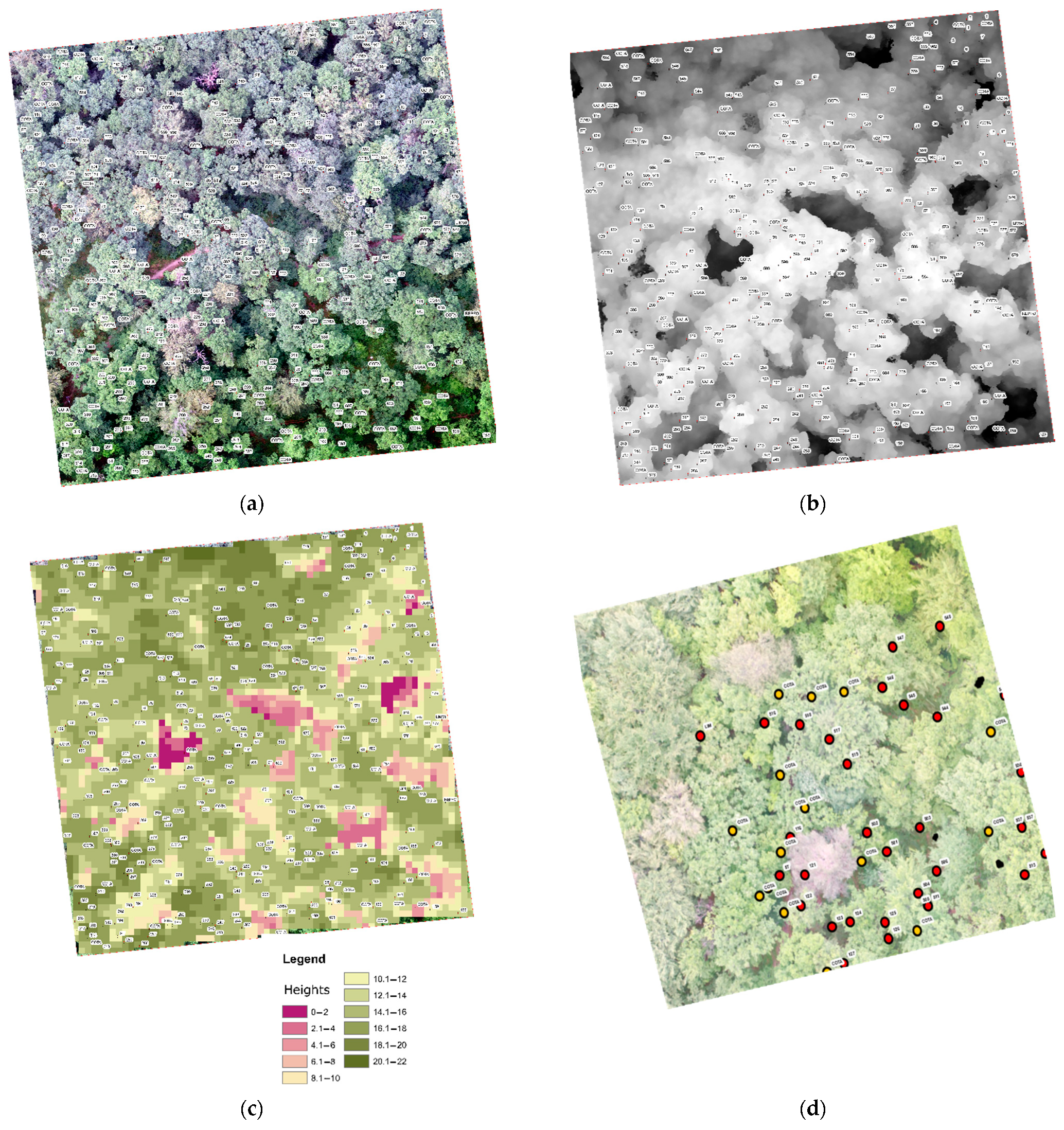 Forests 12 00200 g001