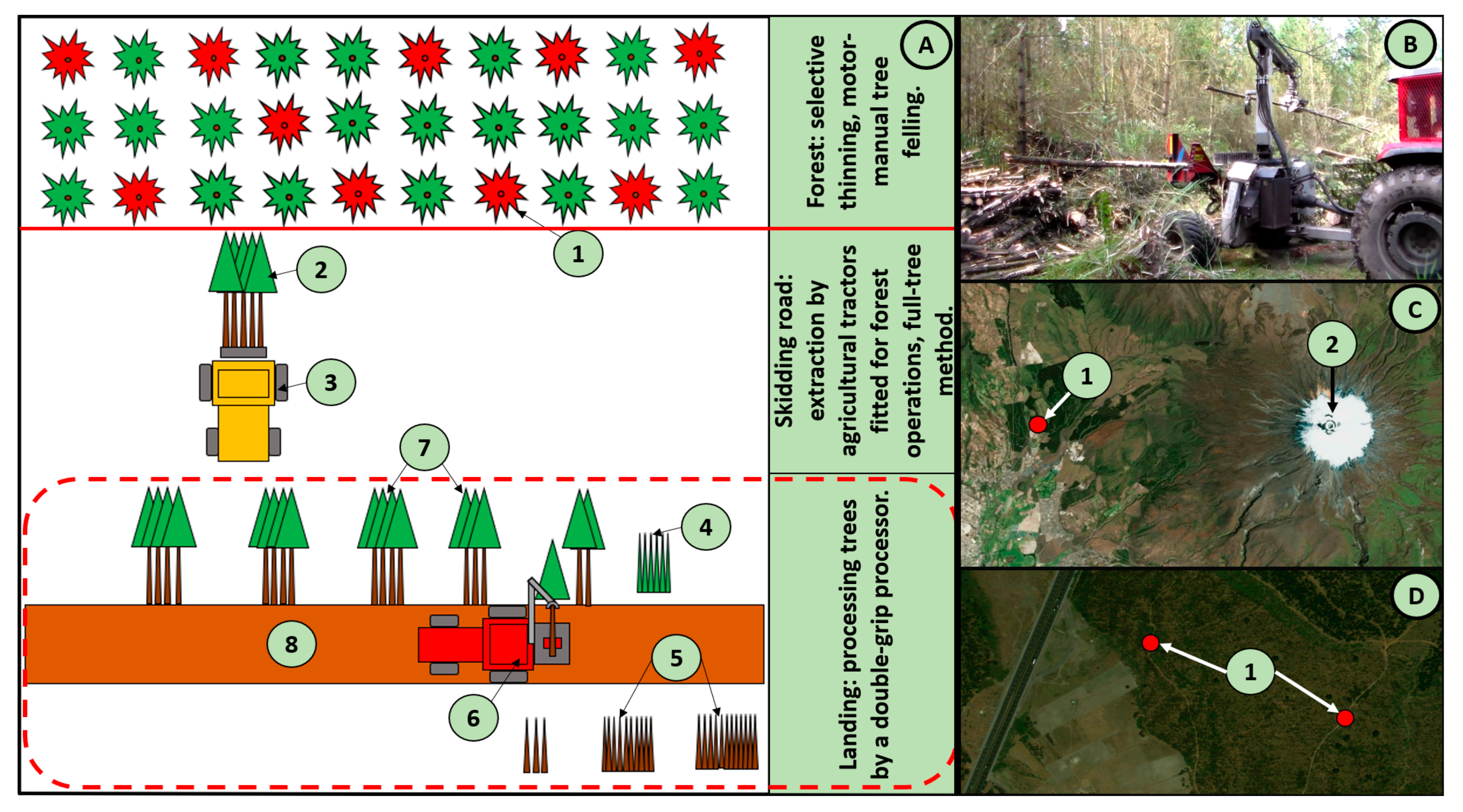 Forests 12 00213 g001 Forests 12 00213 g001