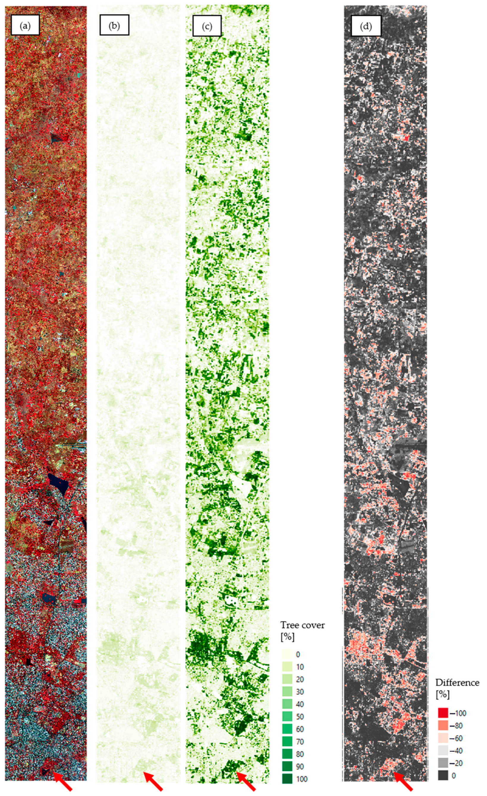 Forests 12 00220 g004