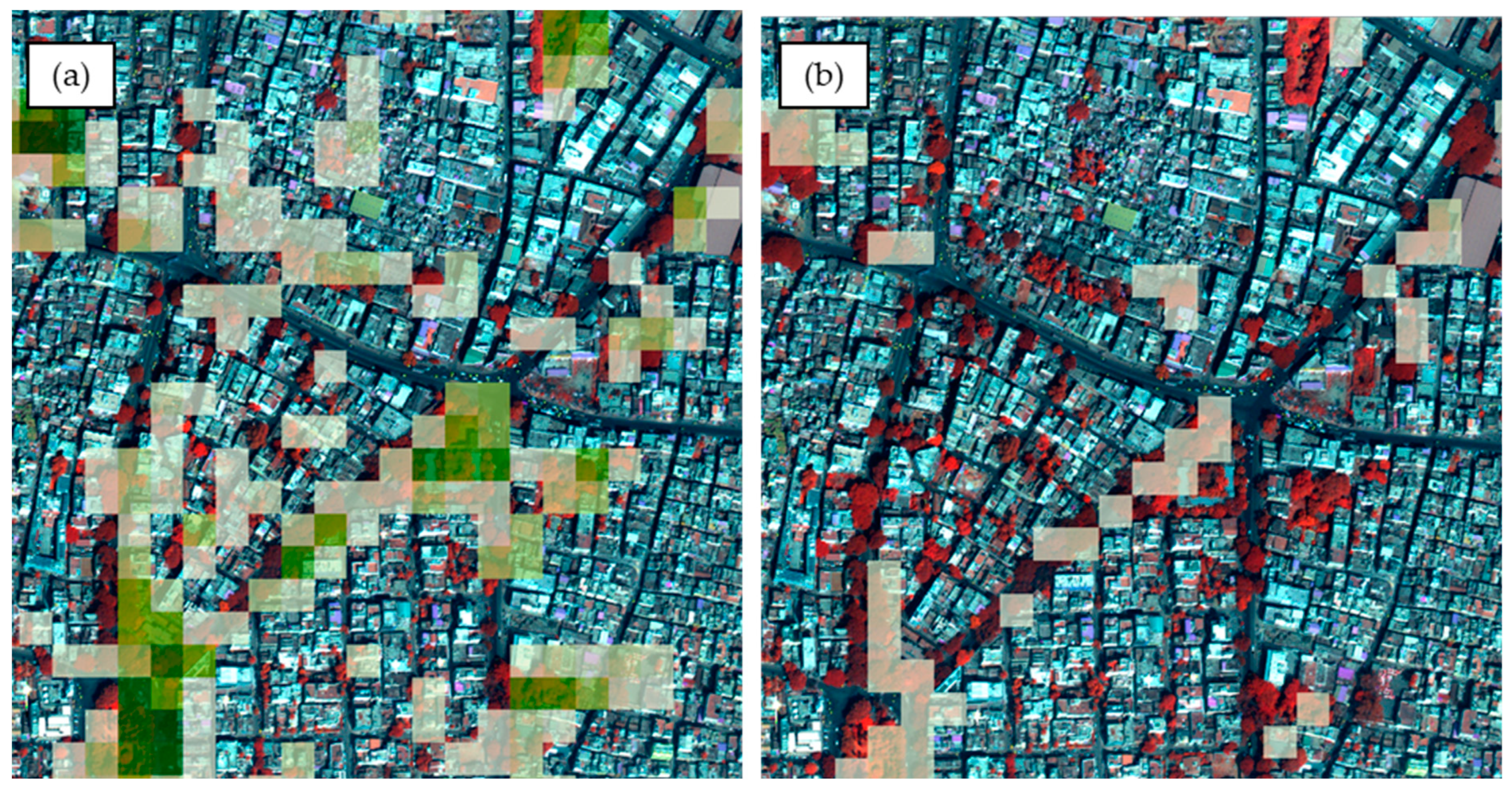 Forests 12 00220 g005