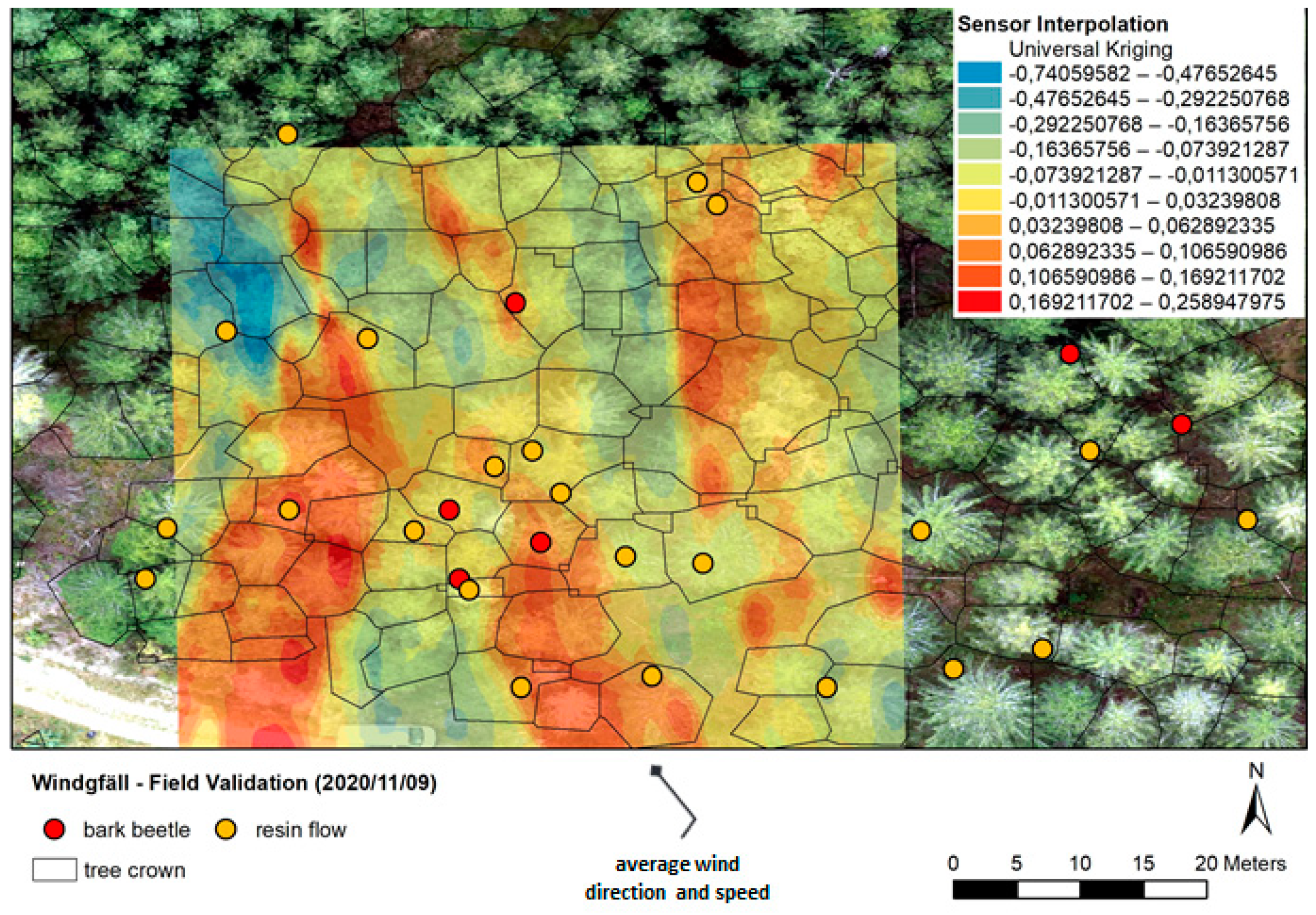 Forests 12 00228 g006 Forests 12 00228 g006